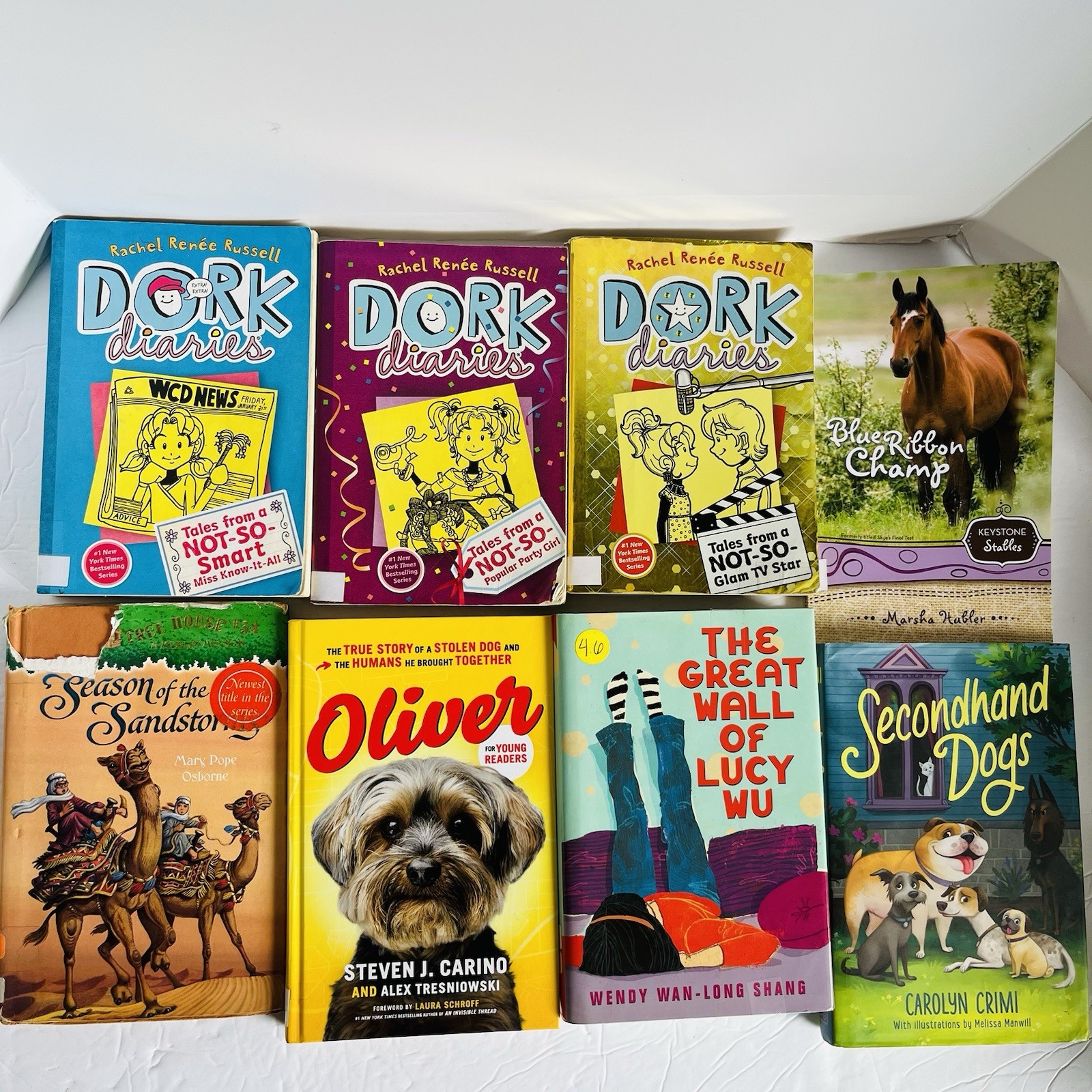 Lot of 10 Random 4th grade Children&rsquo;s Kids Chapter Book Some series Elementary
