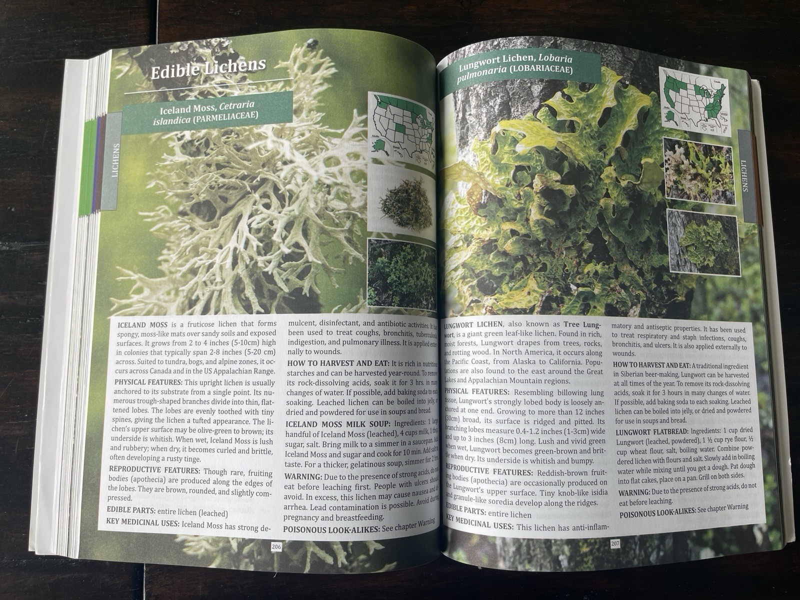 The Forager&rsquo;s Guide to Wild Foods North American Edition by Nicole Apelian