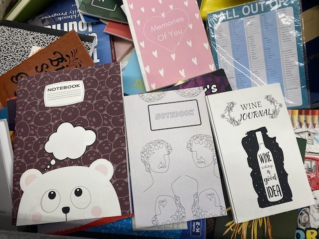 Lot of 10 NEW Books | Coloring Books + Journals | Assorted Grab Bag Bundle – NEW