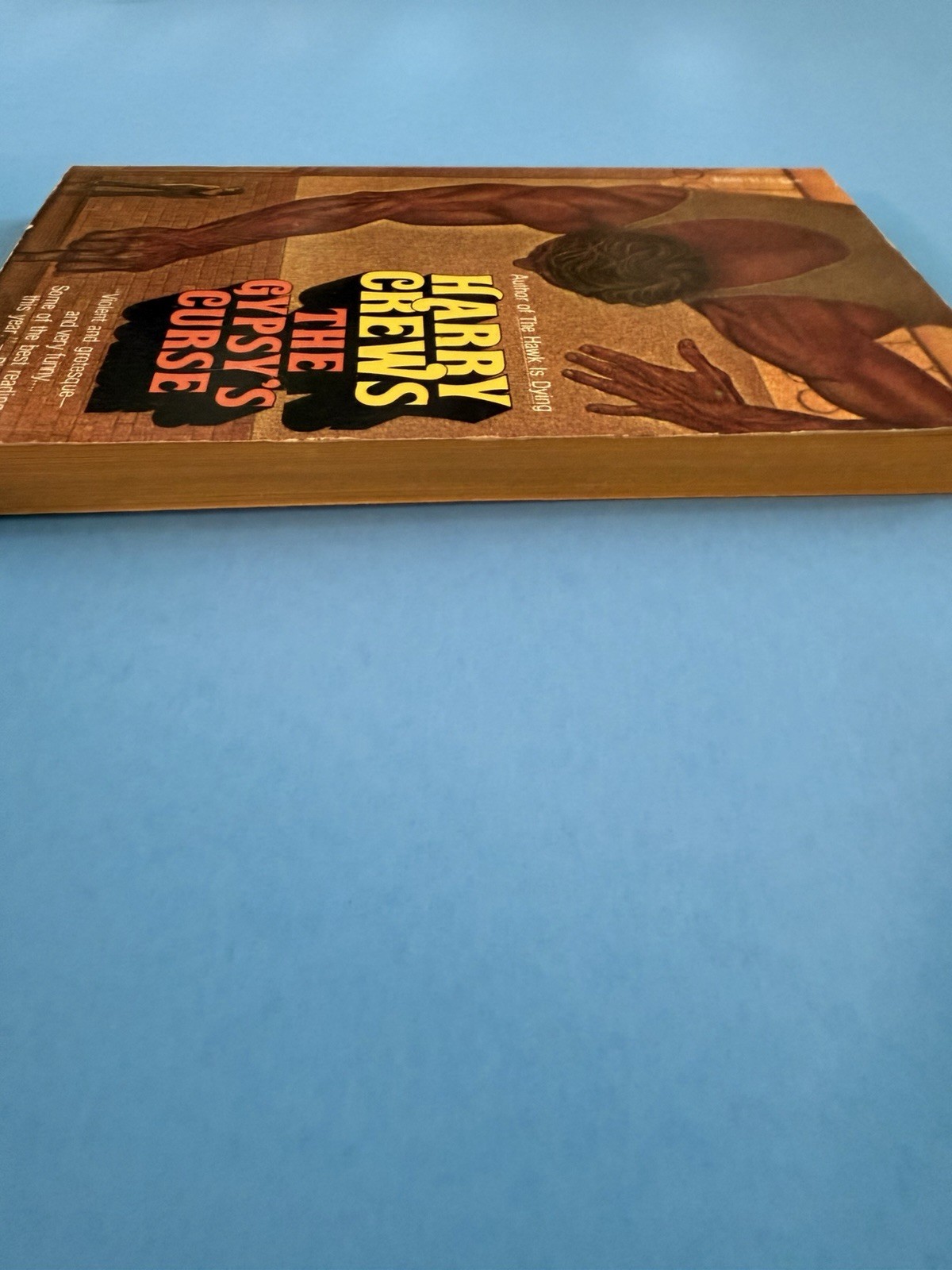 GYPSYS CURSE By Harry Crews 1976 Pocket Books Paperback 1st Printing