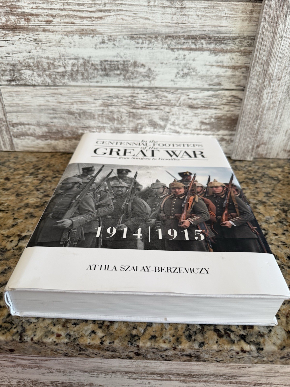 In The Centennial Footsteps of the Great War Sarajevo to Versailles 1914-1915
