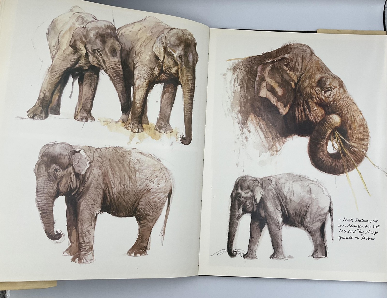 Vintage Noah&rsquo;s Ark Rien Poortvliet HC Beige Illustrated 1986 Abrams Netherlands