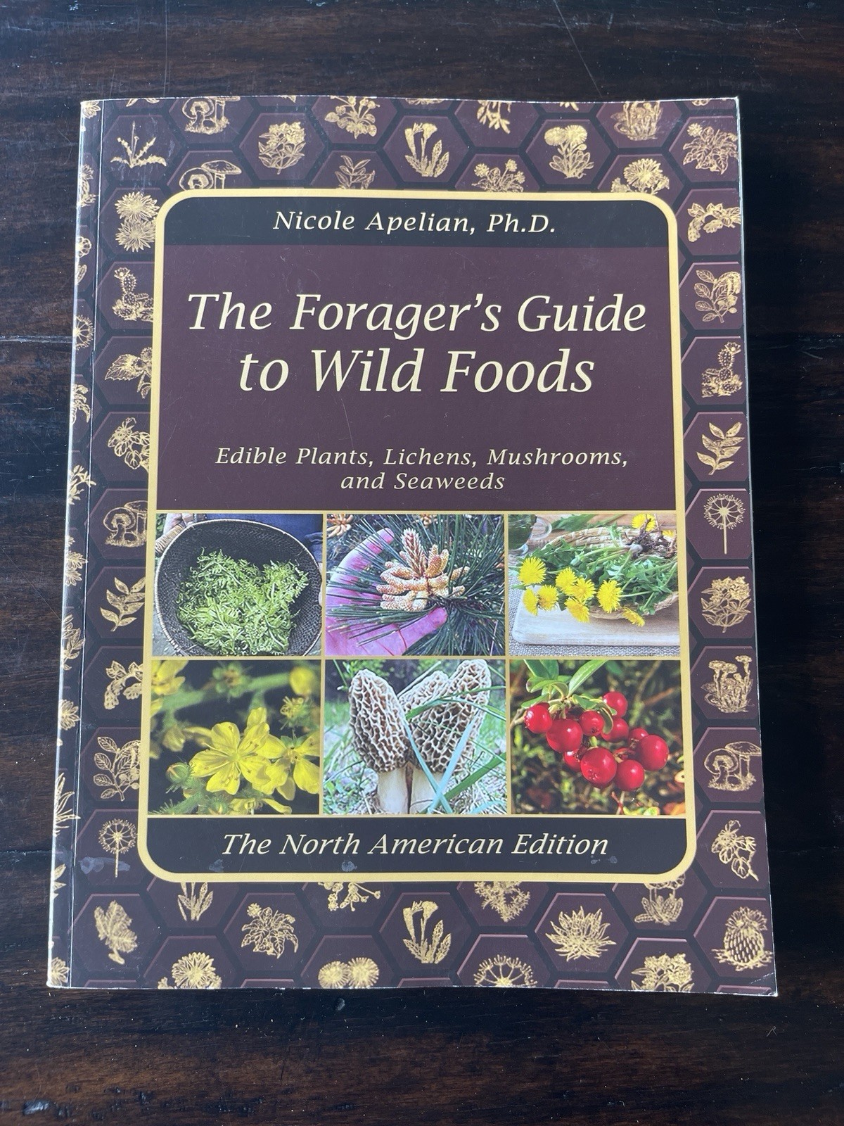 The Forager&rsquo;s Guide to Wild Foods North American Edition by Nicole Apelian