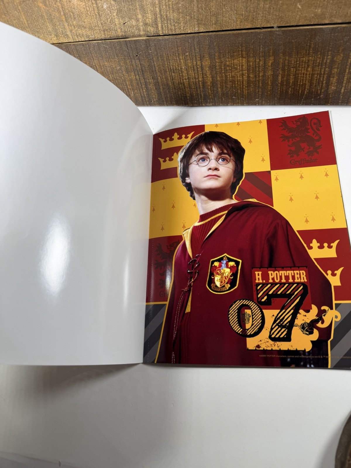 Harry Potter Poster Book 12 Color Posters 8.5&Prime; X 11&Prime;
