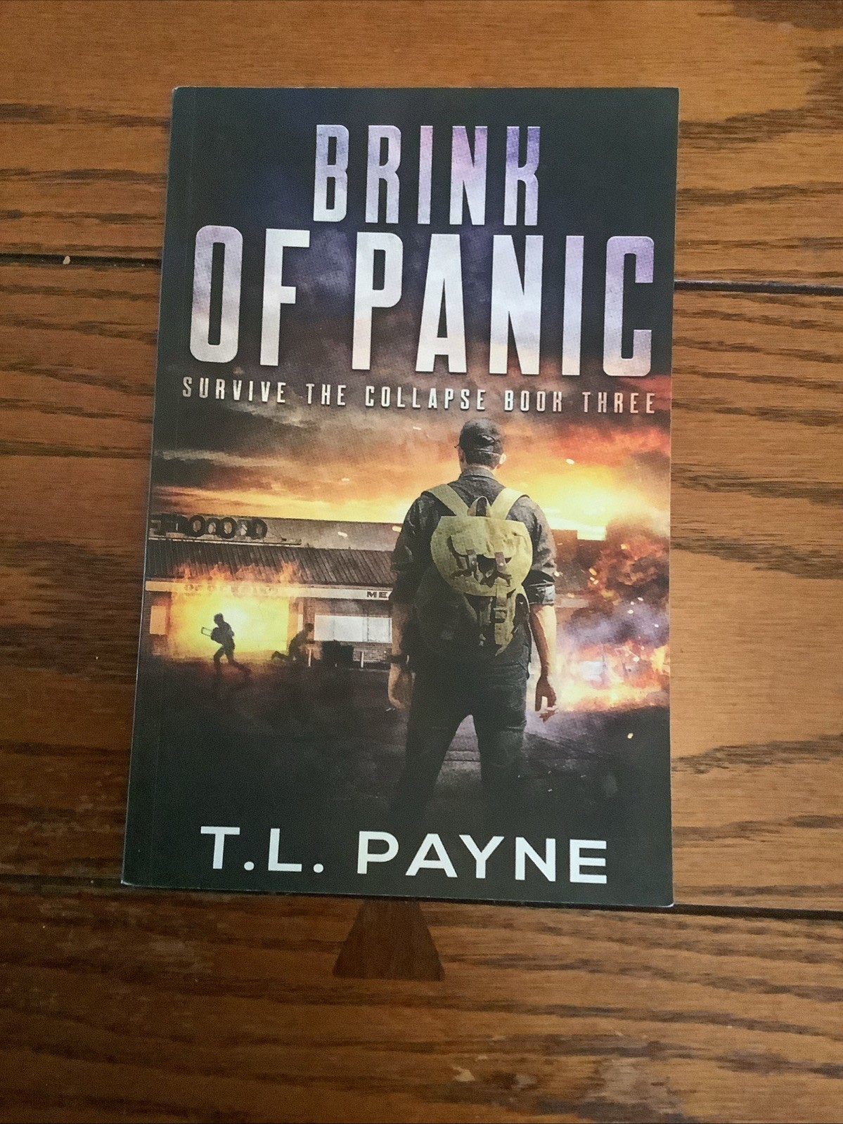 Days of Want Series 4 Book Lot T.L. Payne Paperback Survive Collapse Houston