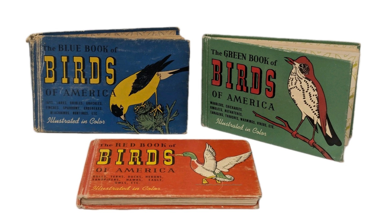 Vintage 1940s Birds of America Blue Green Red Book Set MCM Illustrated HB Set 3