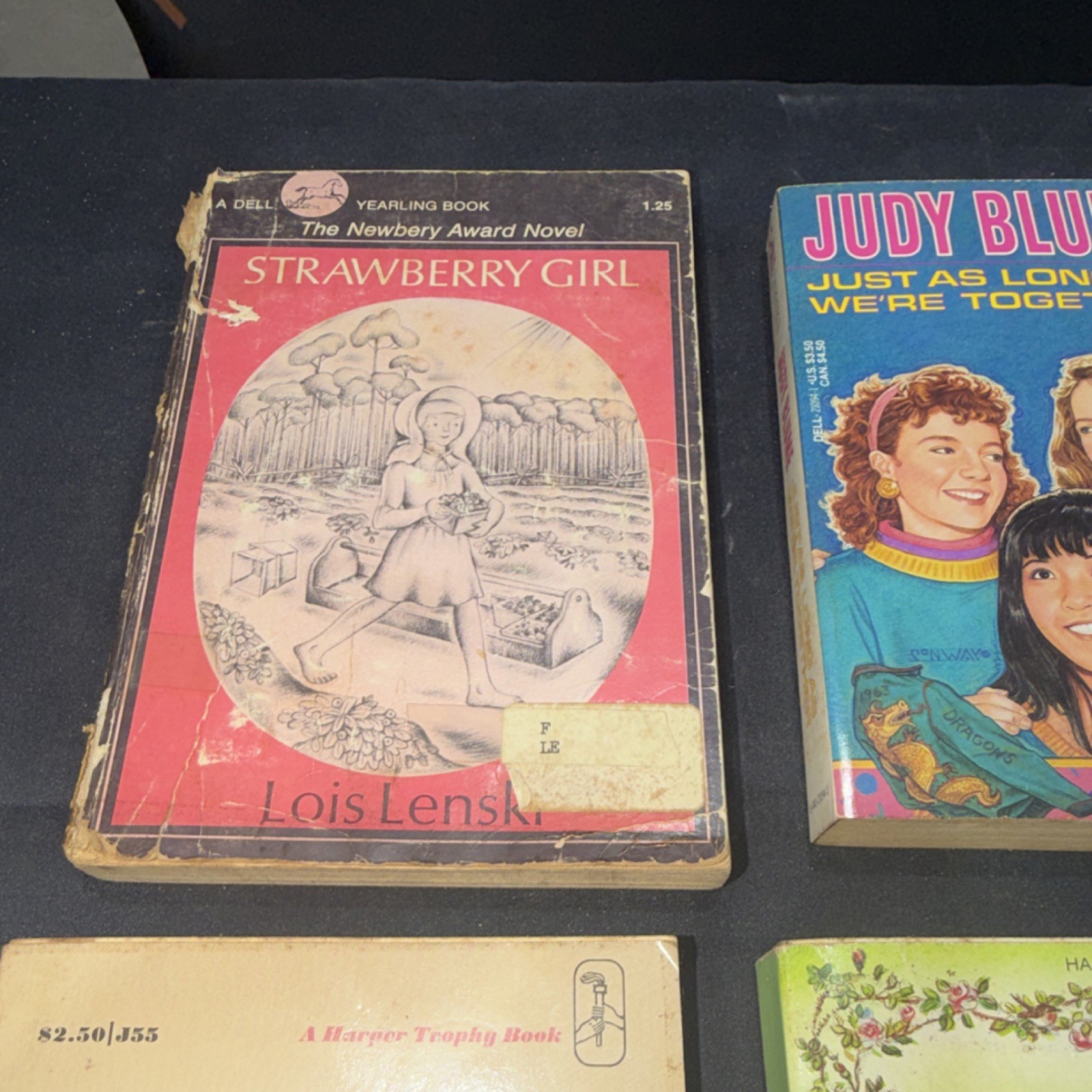 Vintage Children&rsquo;s Fiction Paperback Lot – Lenski, Blume, White, Burnett, 5 Boo…