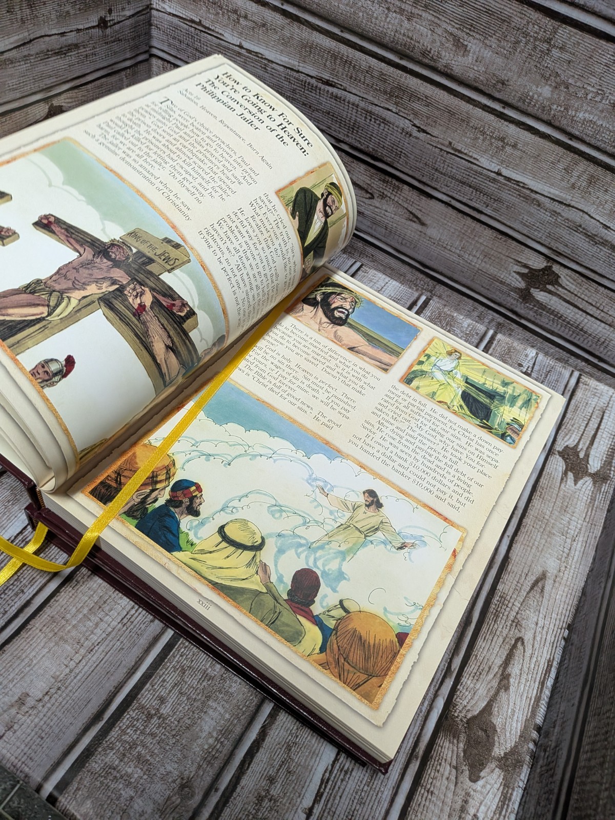 Family Growth Program Series Bible In Stories Vol 1 & 2