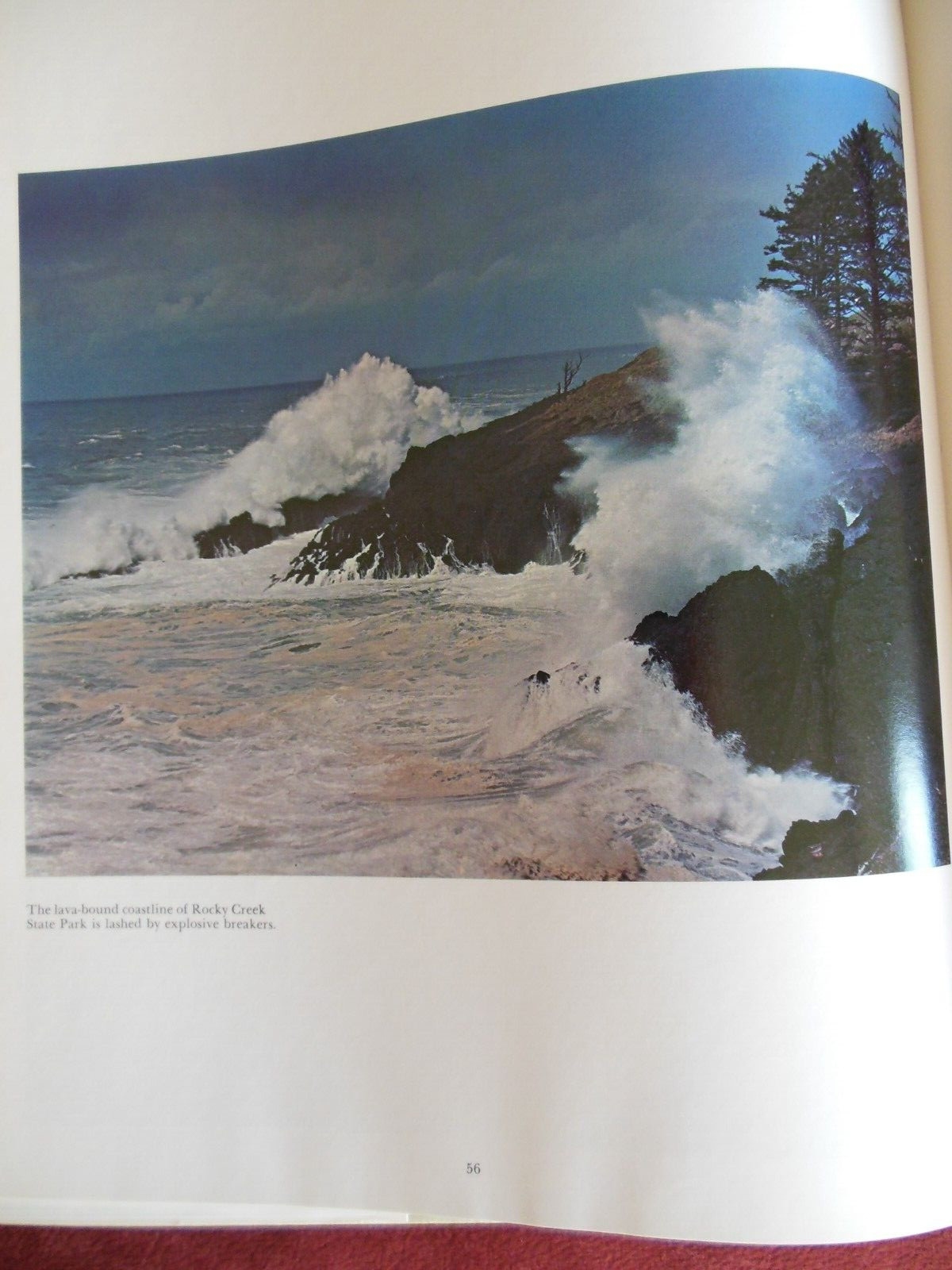 Oregon Coast, by Ray Atkeson