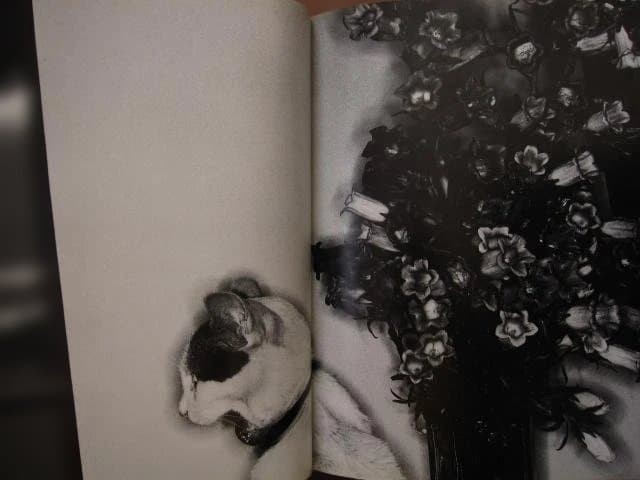 Nobuyoshi Araki « Erotos » Photo Book First edition Hardcover Japanese