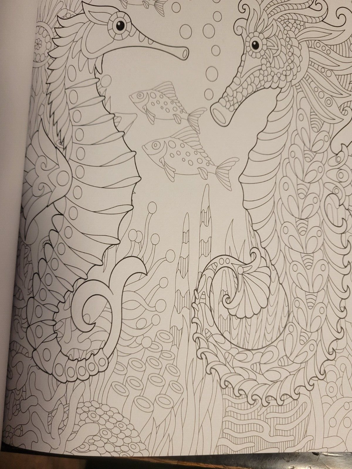 MAJESTIC CREATURES Vol 13 Adult Coloring Book With 47 Prints Ready To Frame