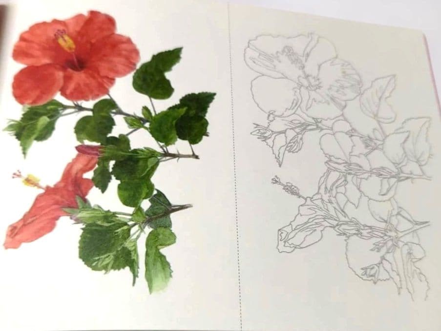 Coloring Book Flowers Postcards 5.5×3.6in Floral Designs