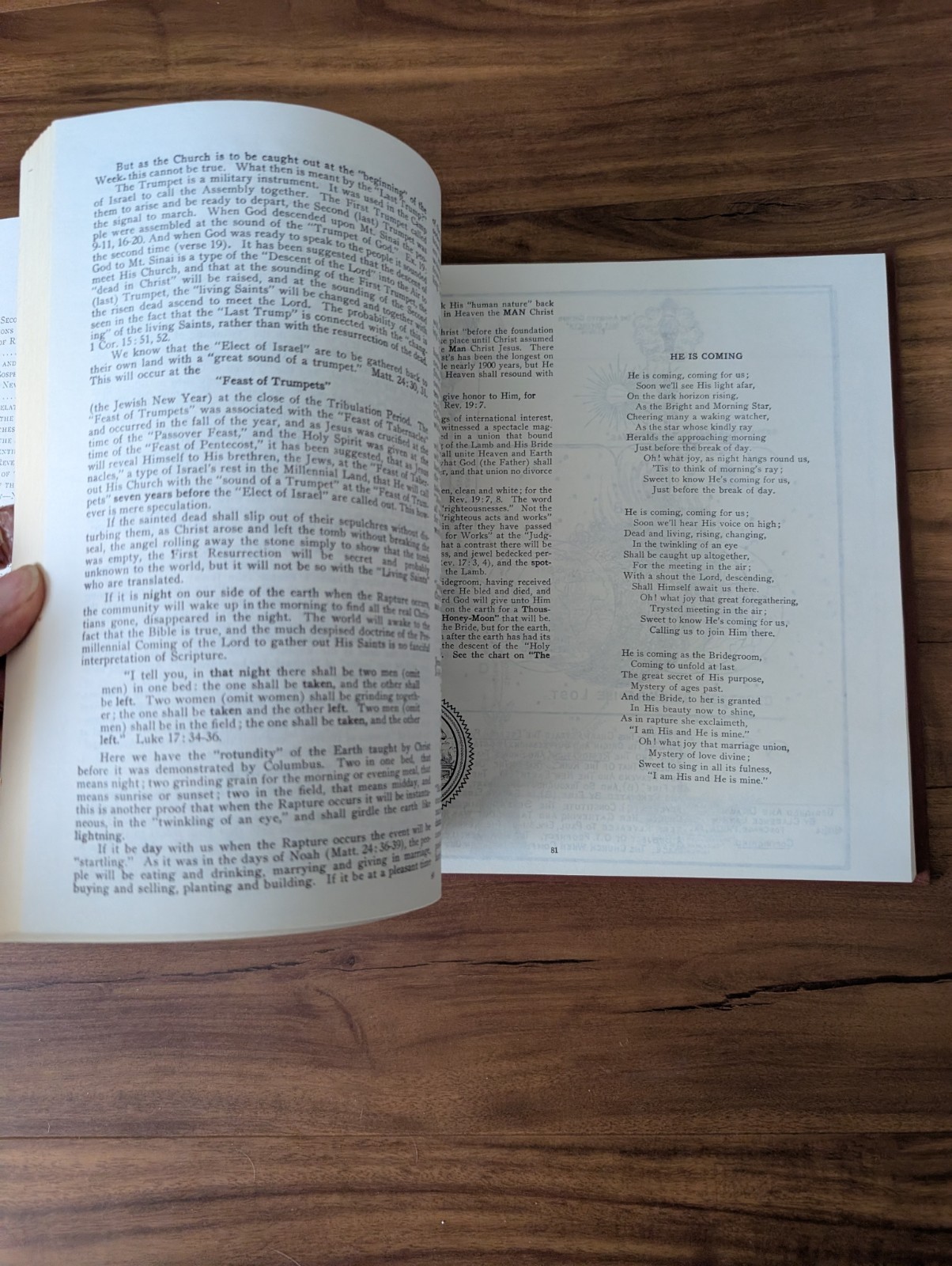 Vintage: Dispensational Truth or God&rsquo;s Plan and Purpose Clarence Larkin HC