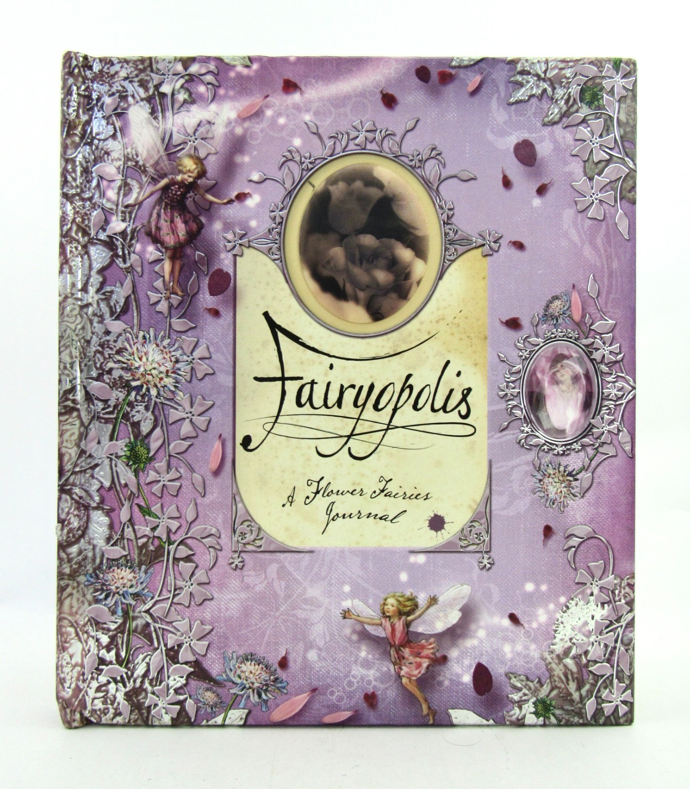 Lot 4 FAIRYOPOLIS Books Journal, Return, Magical Doors & Secret Garden HB VGC