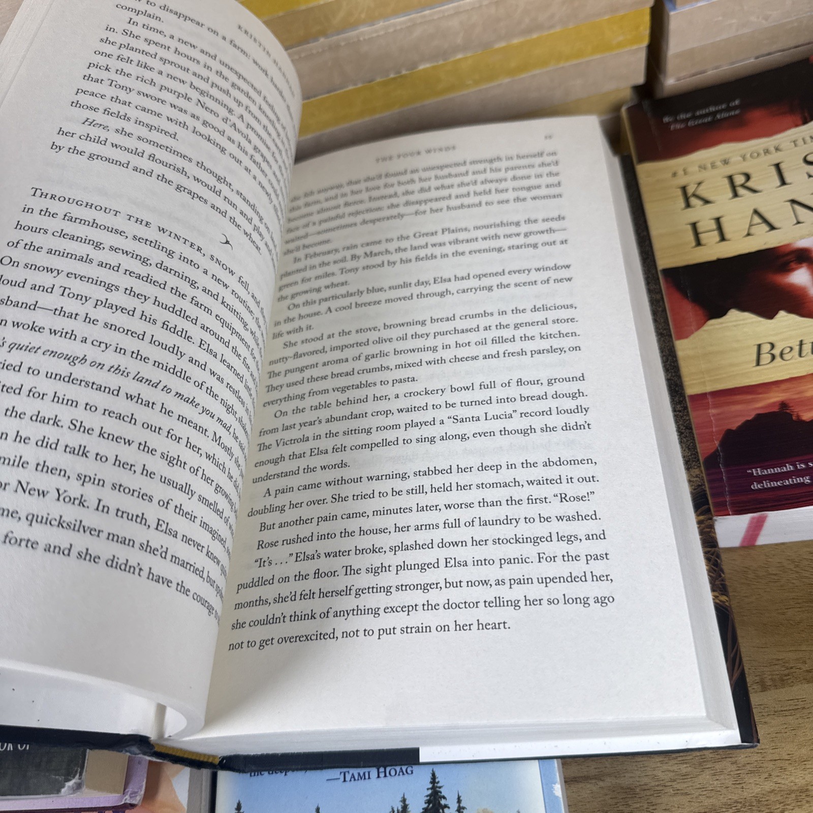 Lot 7 Kristin Hannah Books 2 Hardcover 5 Paperback Mystic Lake Fly Away Firefly