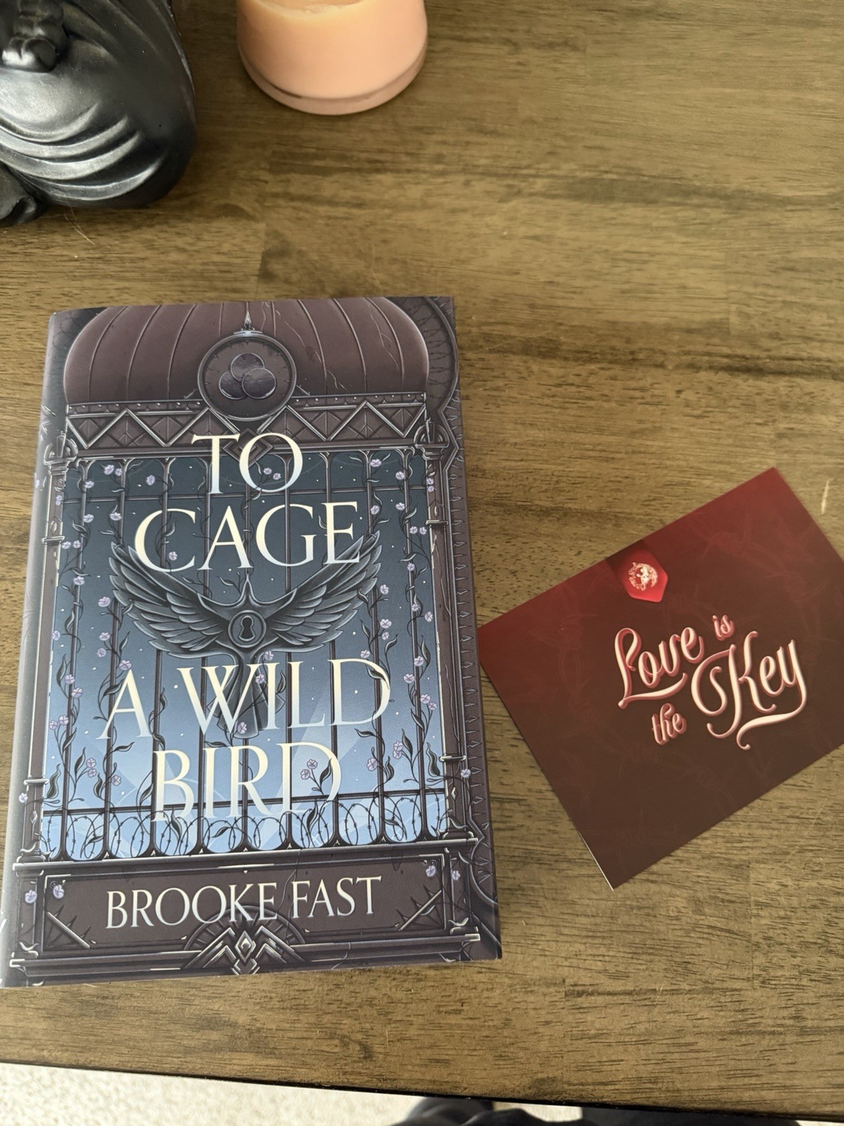 To Cage A Wild Bird By Brooke Fast Fairyloot Edition Signed