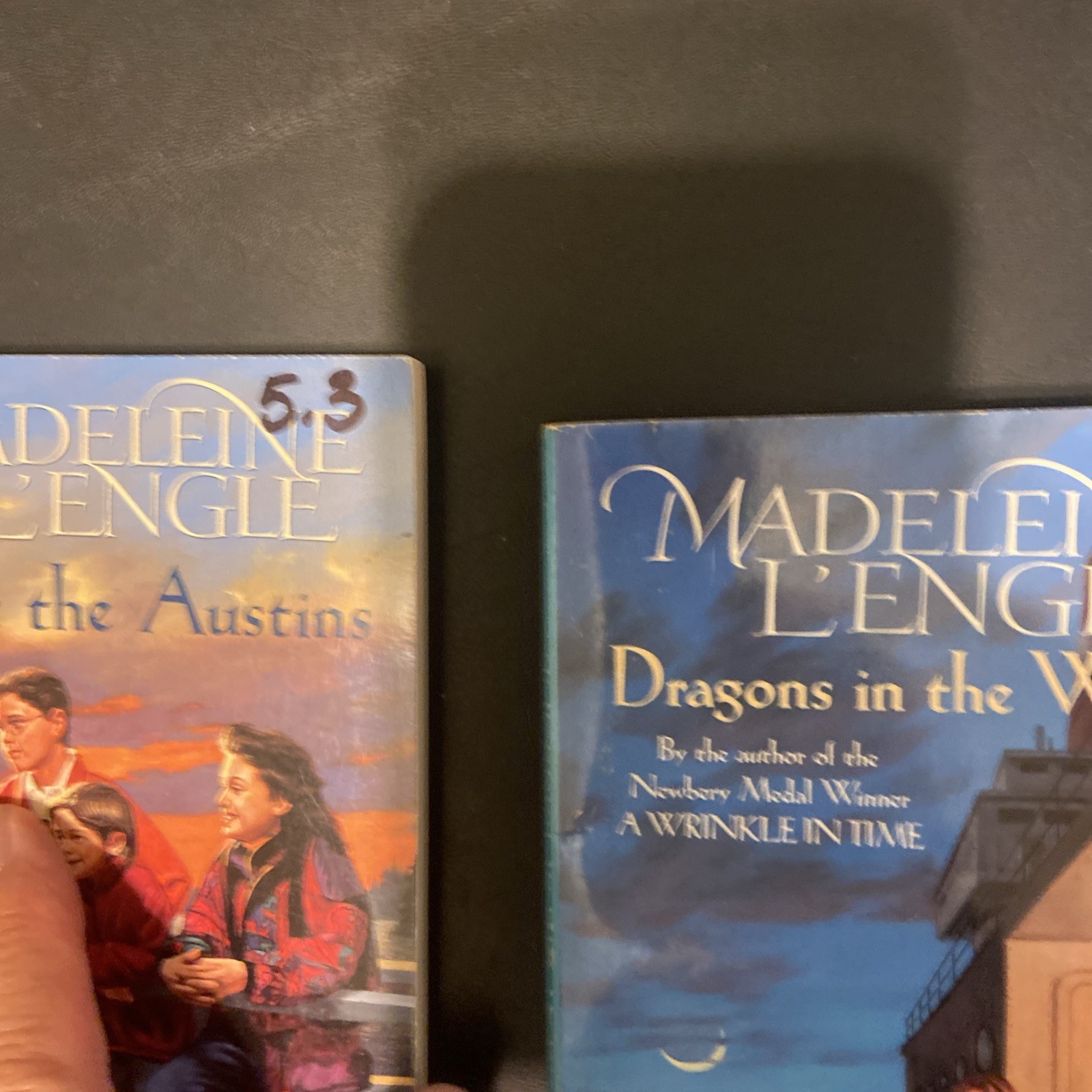 Madeleine L&rsquo;Engle Fiction Lot Of 9 HCs & PBs Includes Journal G-VG Condition