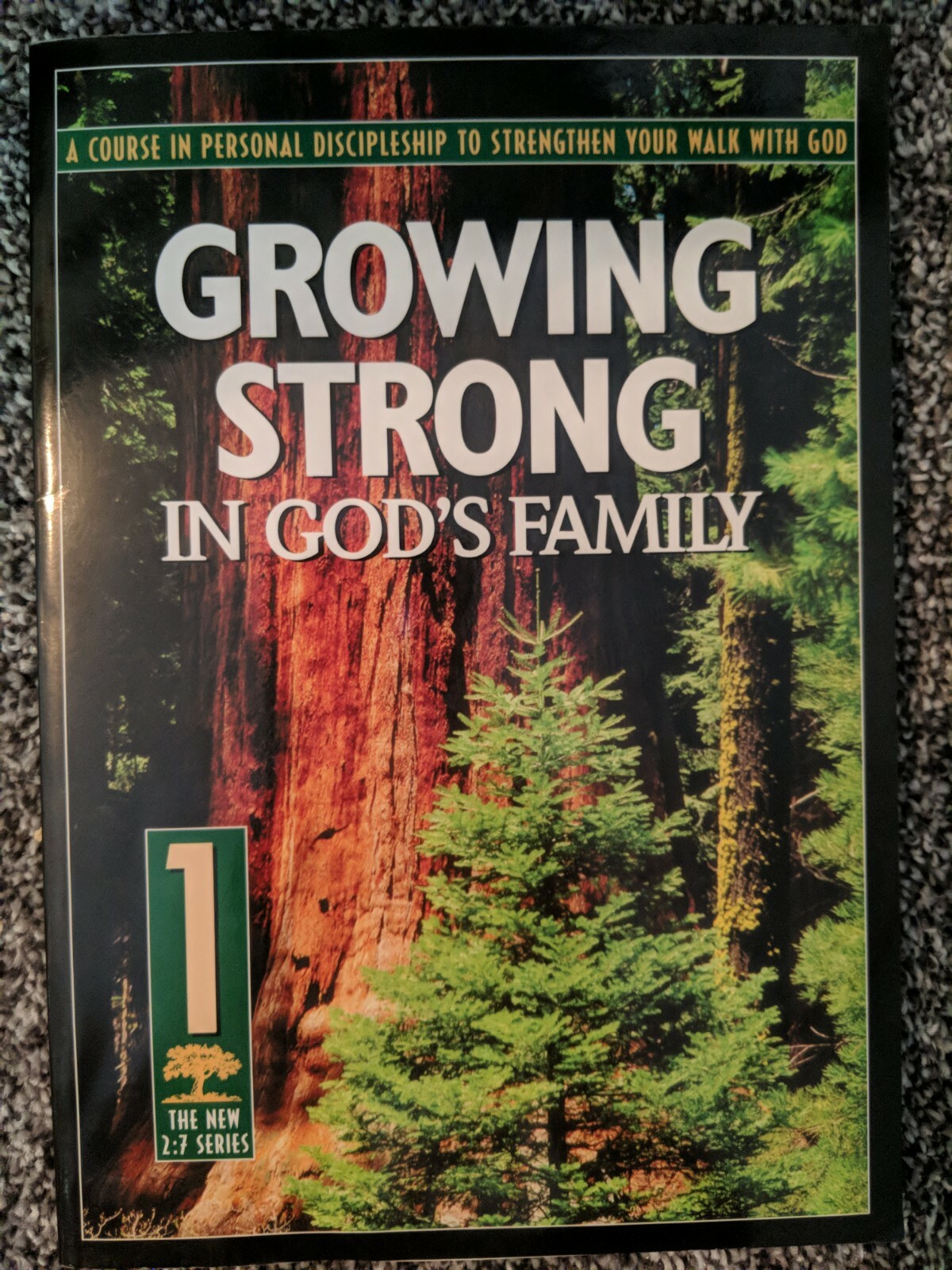 The Revised 2:7 Ser.: Growing Strong in God&rsquo;s Family : A Course in Personal Dis…