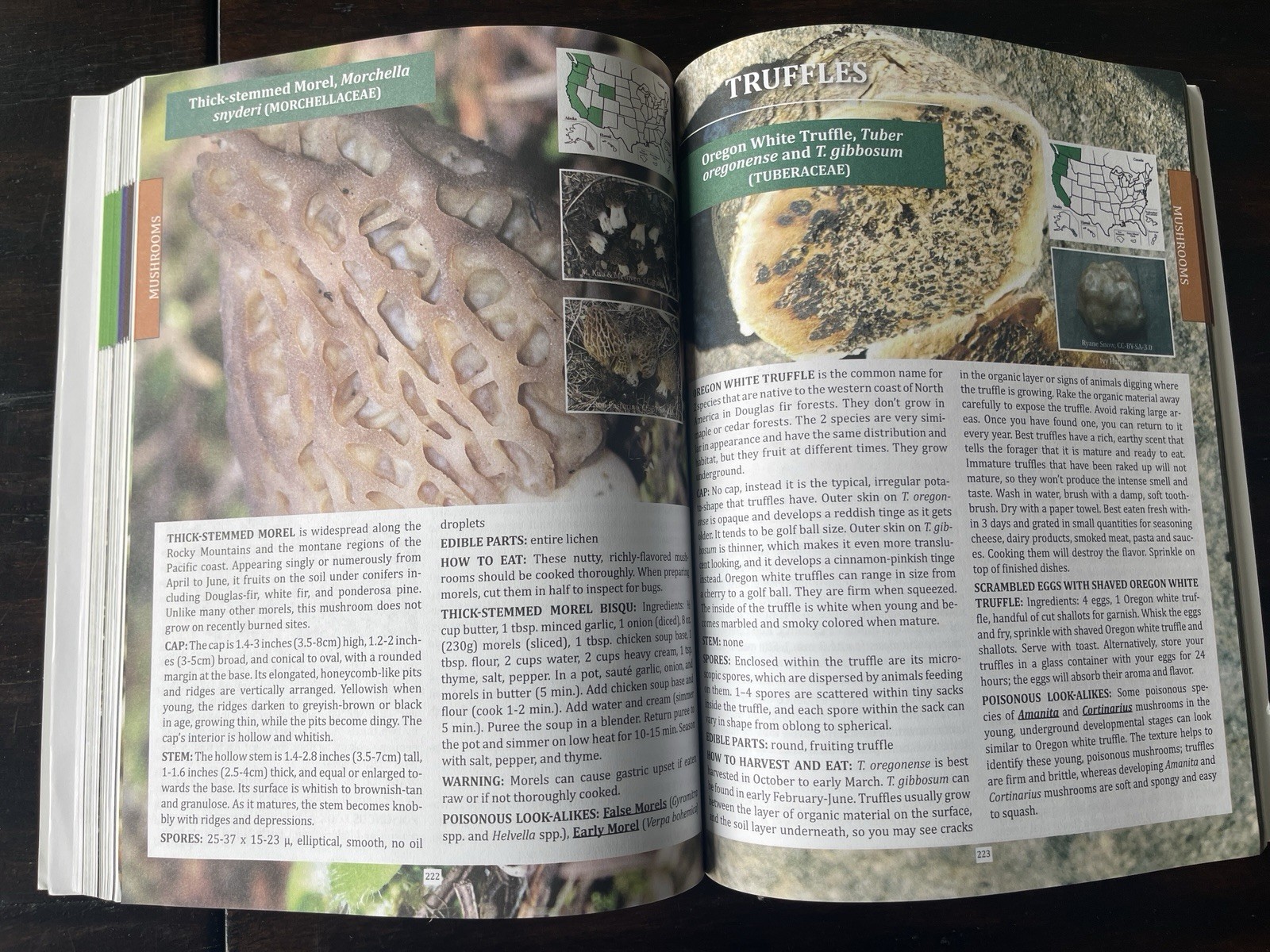 The Forager&rsquo;s Guide to Wild Foods North American Edition by Nicole Apelian