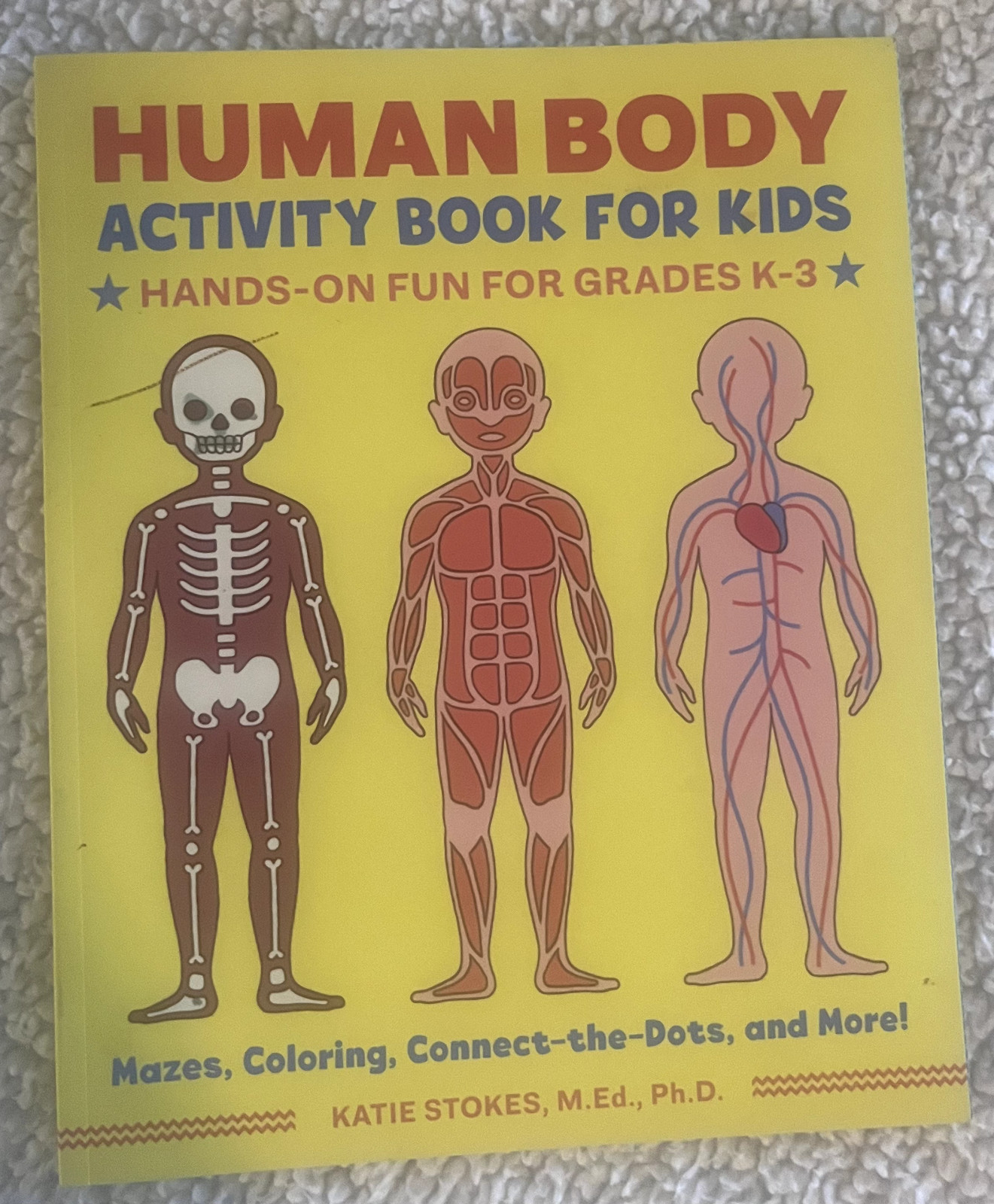 Human Body Activity Book for Kids : Hands-On Fun for Grades K-3 by Katie Stokes