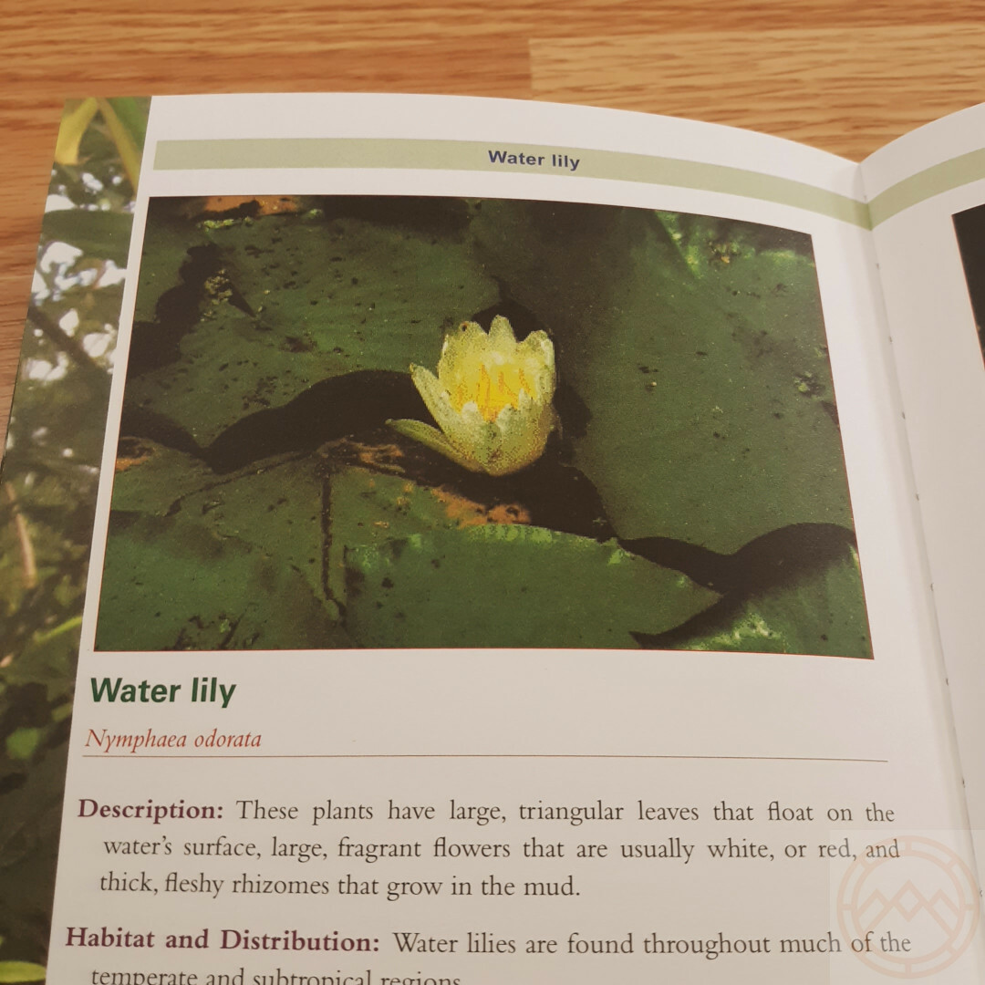 Complete Guide to Edible Plants Book Army Dept Medicine Poison Color Photos