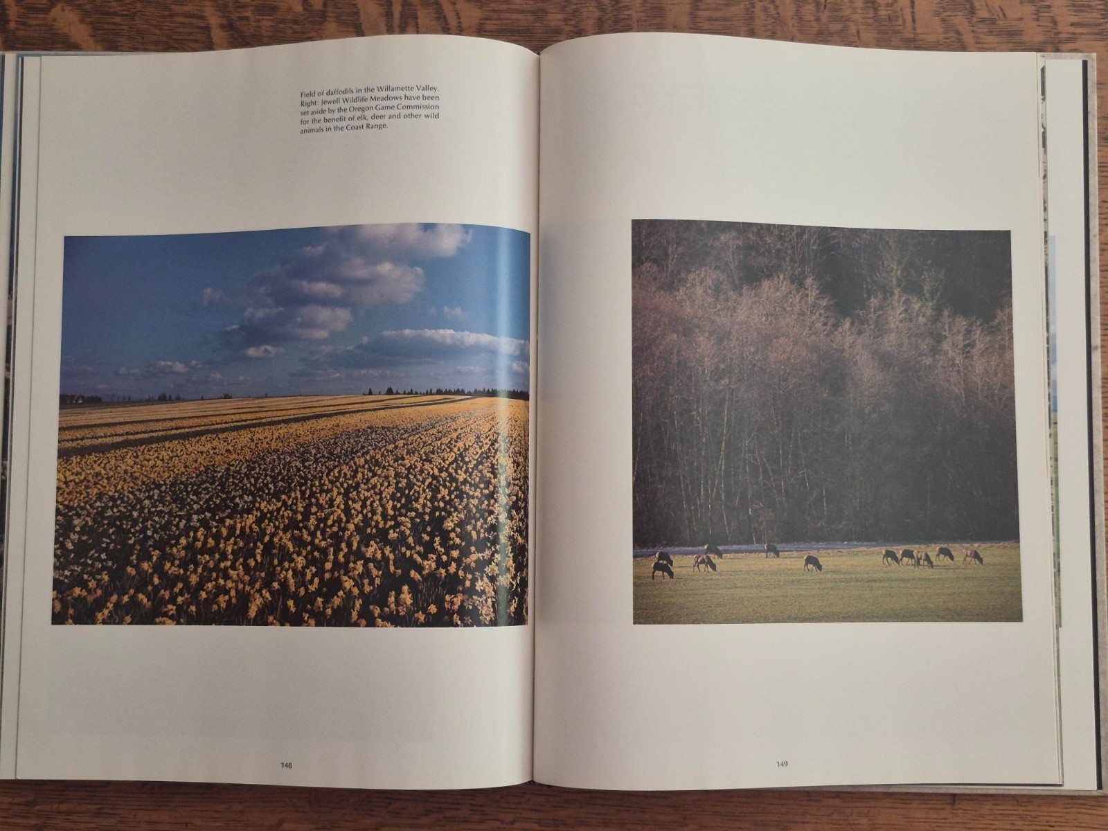 Oregon II, by Ray Atkeson
