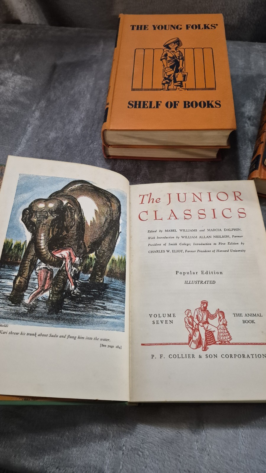 Collier&rsquo;s The Junior Classics: The Young Folks Shelf of Books Set 6 Hardback OBO