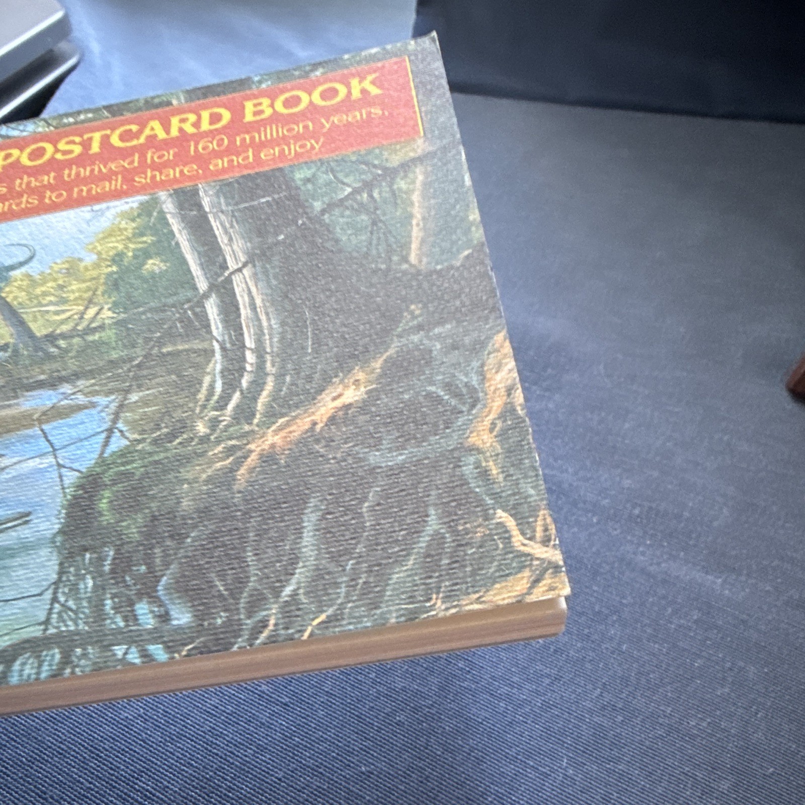 The Dinosaurs Postcard Book Framable Art Prints 1987 Toby Schmid Illus Hallett