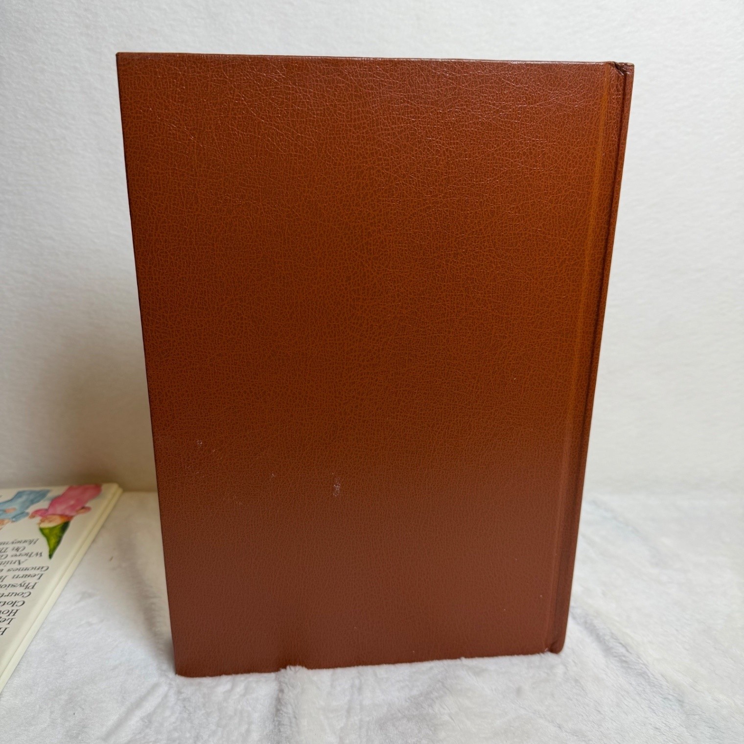 Gnomes by Wil Huygen & Rien Poortvliet 1977 Hardcover Illustrated Dust Jacket