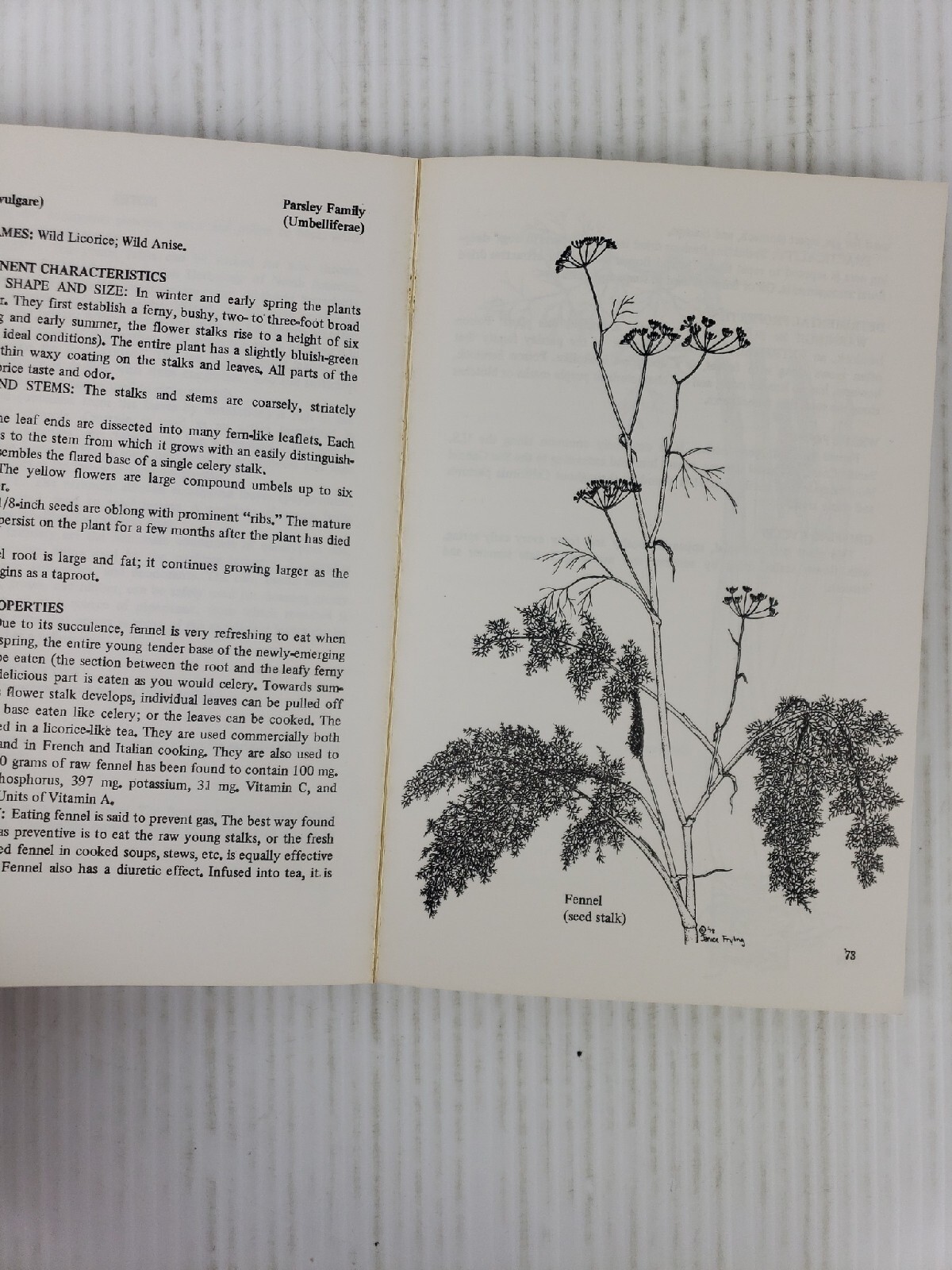 A Southern Californian&rsquo;s Guide to Wild Food Volume 1 by Christopher Nyerges