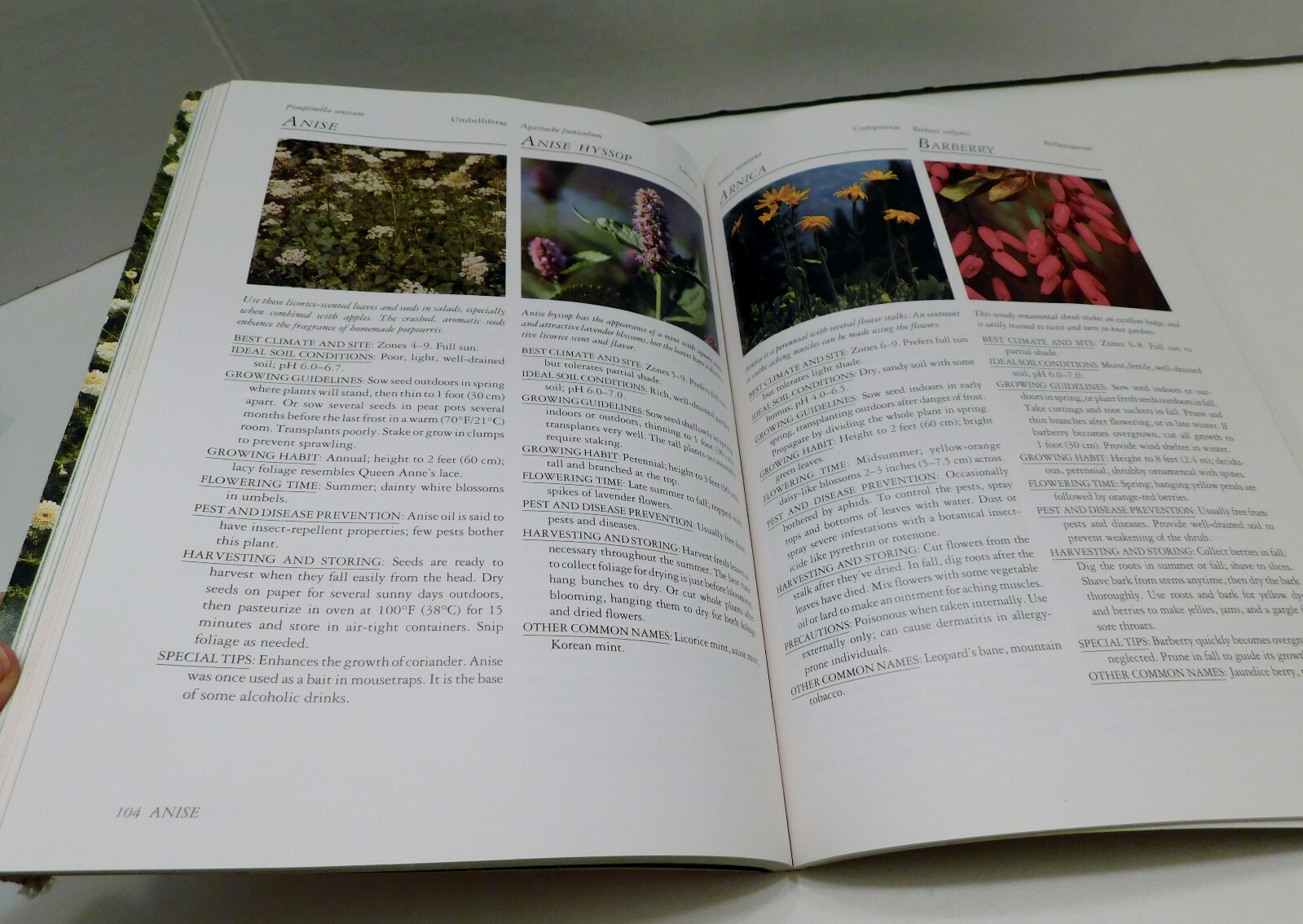 Rodale&rsquo;s Successful Organic Gardening: Herbs 300 color photos 50 illustratration