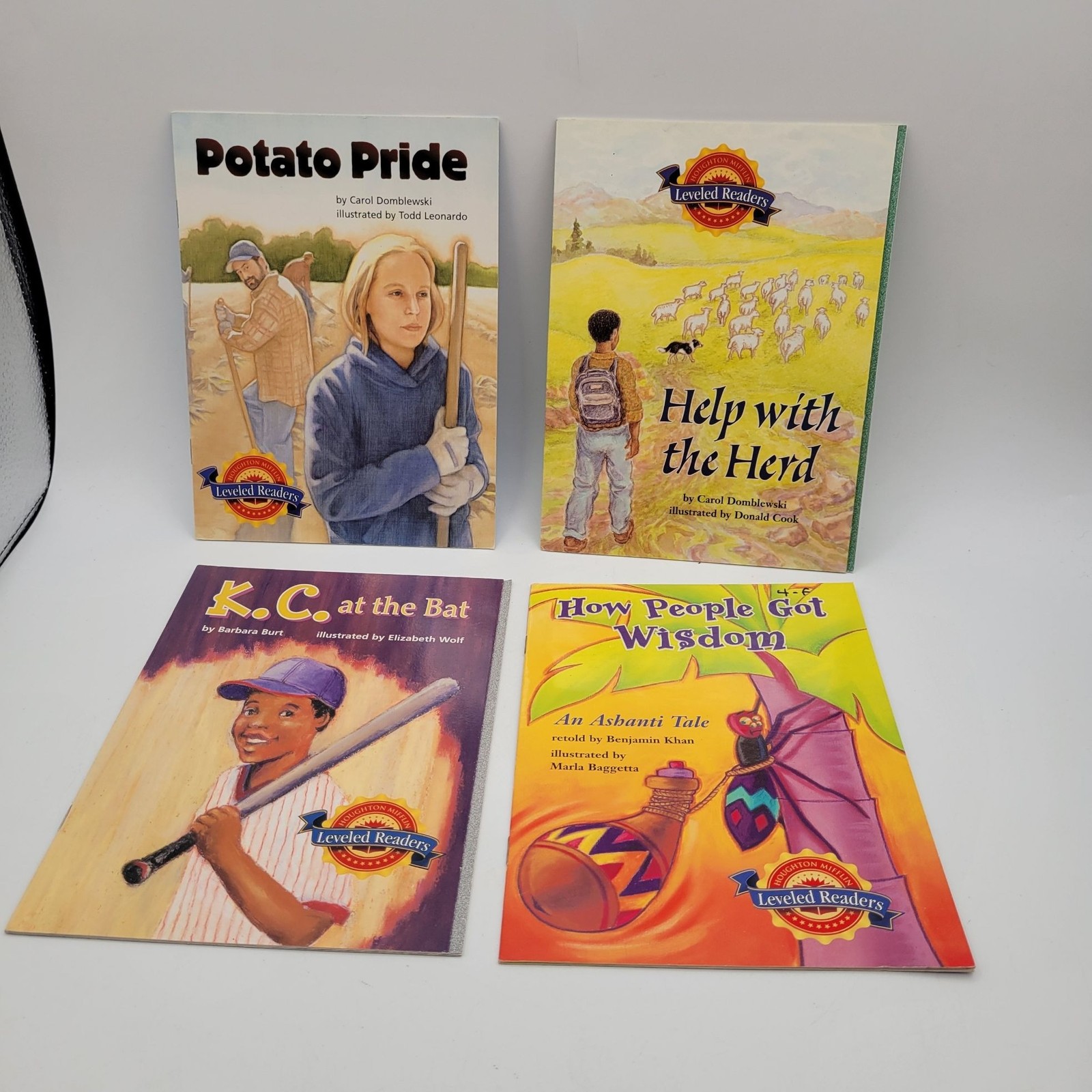 Houghton Mifflin Leveled Readers Huge Lot of 12 Booklet Books for Level 4 BK309
