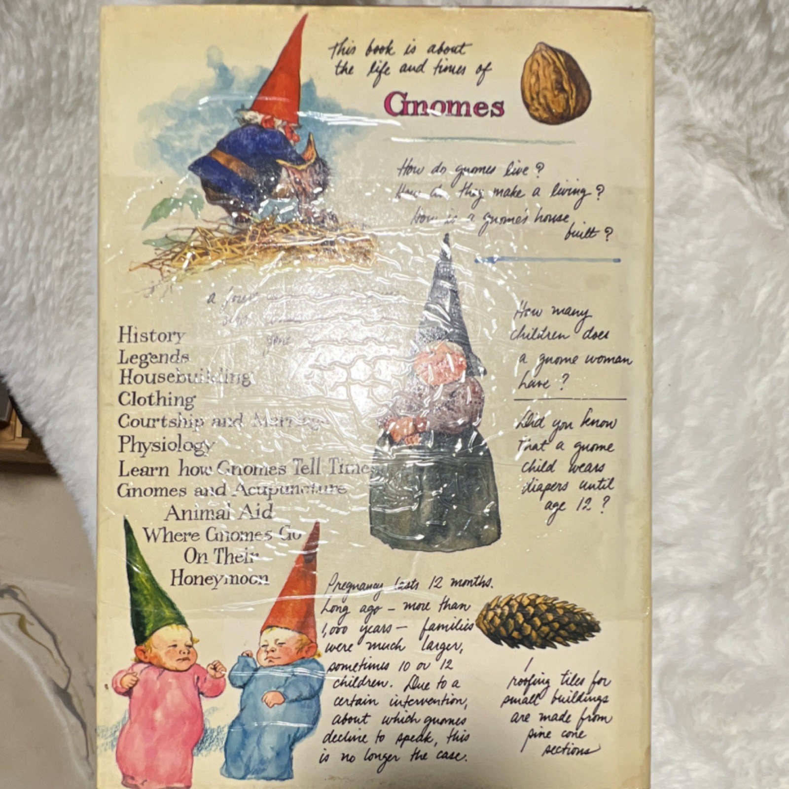 Gnomes Hardcover Illustrated w/ Dust Jacket – Wil Huygen, Rien Poortvliet