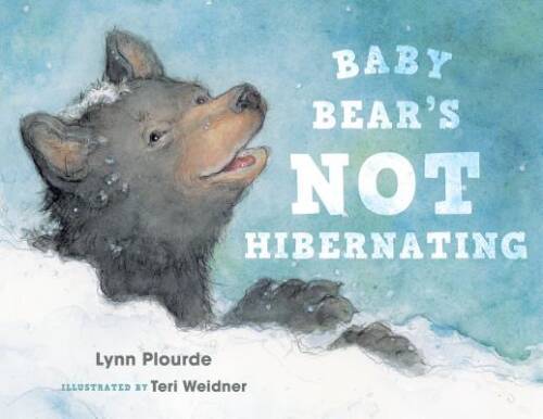 Baby Bear&rsquo;s Not Hibernating – Hardcover By Plourde, Lynn – GOOD