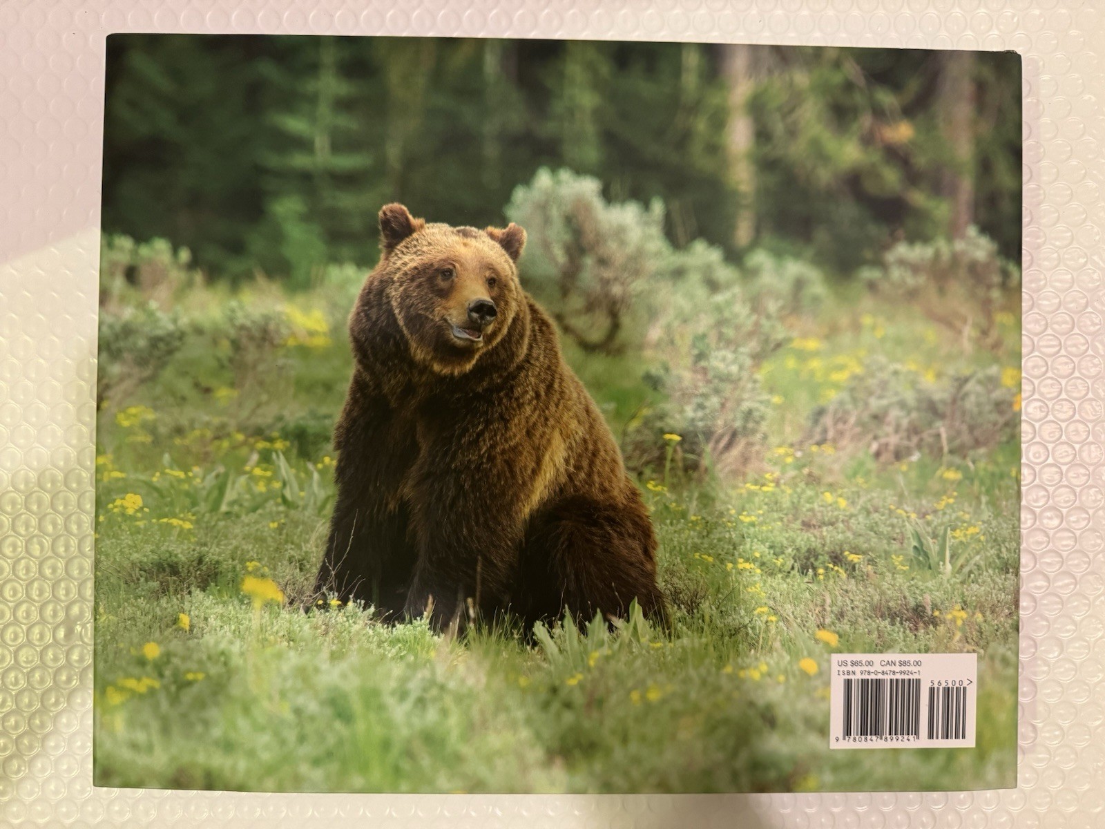 Grizzly 399: World&rsquo;s Most Famous Mother Bear, The by Thomas D. Mangelsen HC .