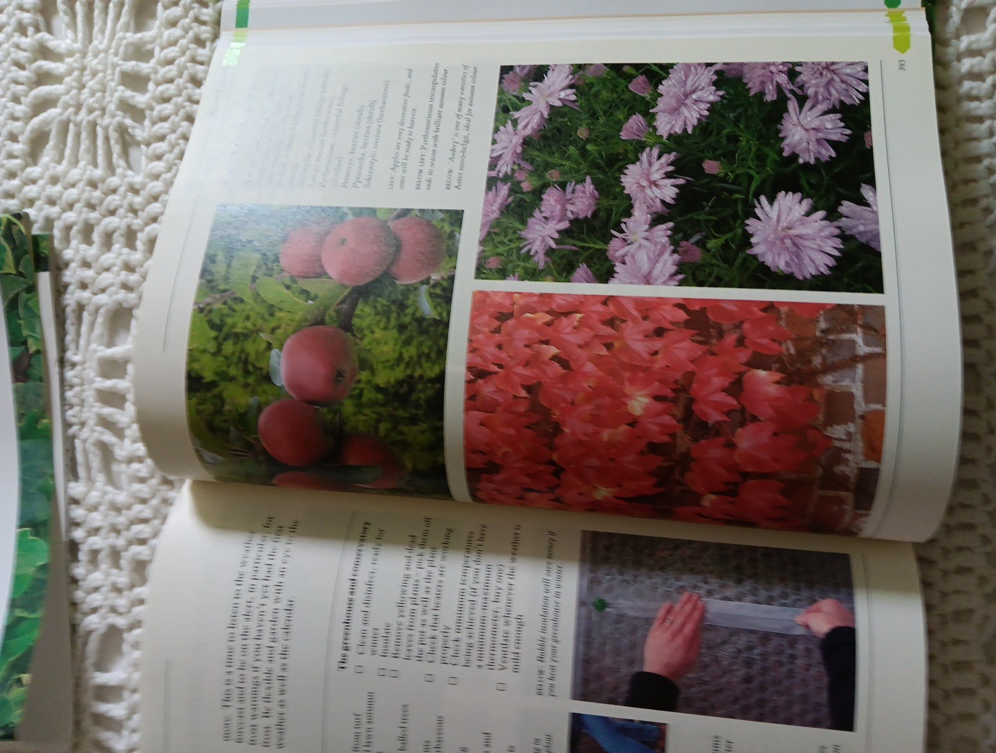 THE COMPLETE BOOK OF PRACTICAL GARDENING Peter McHoy 2001 512 Pages 12×9&Prime; HC DJ