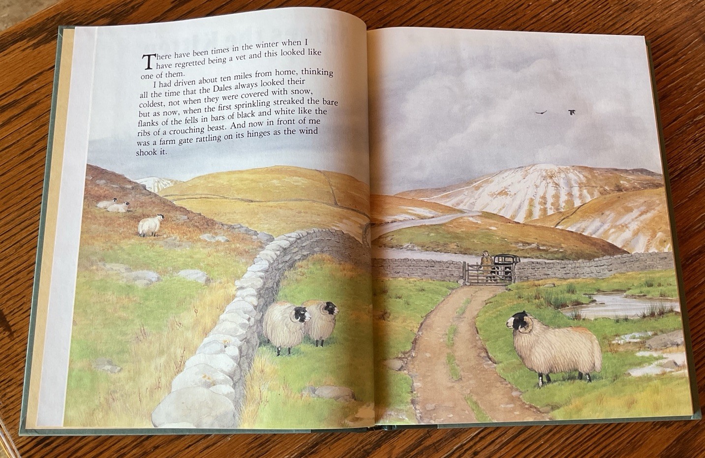 James Herriot&rsquo;s Treasury For Children Book Vintage FIRST EDITION 1992 Hardcover