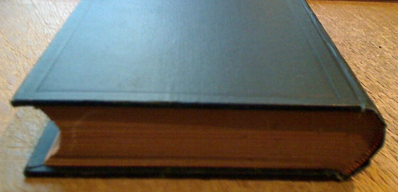 History of Jacksonville, Florida & Vicinity 1513 to 1924-Frederick Davis-1925 ed