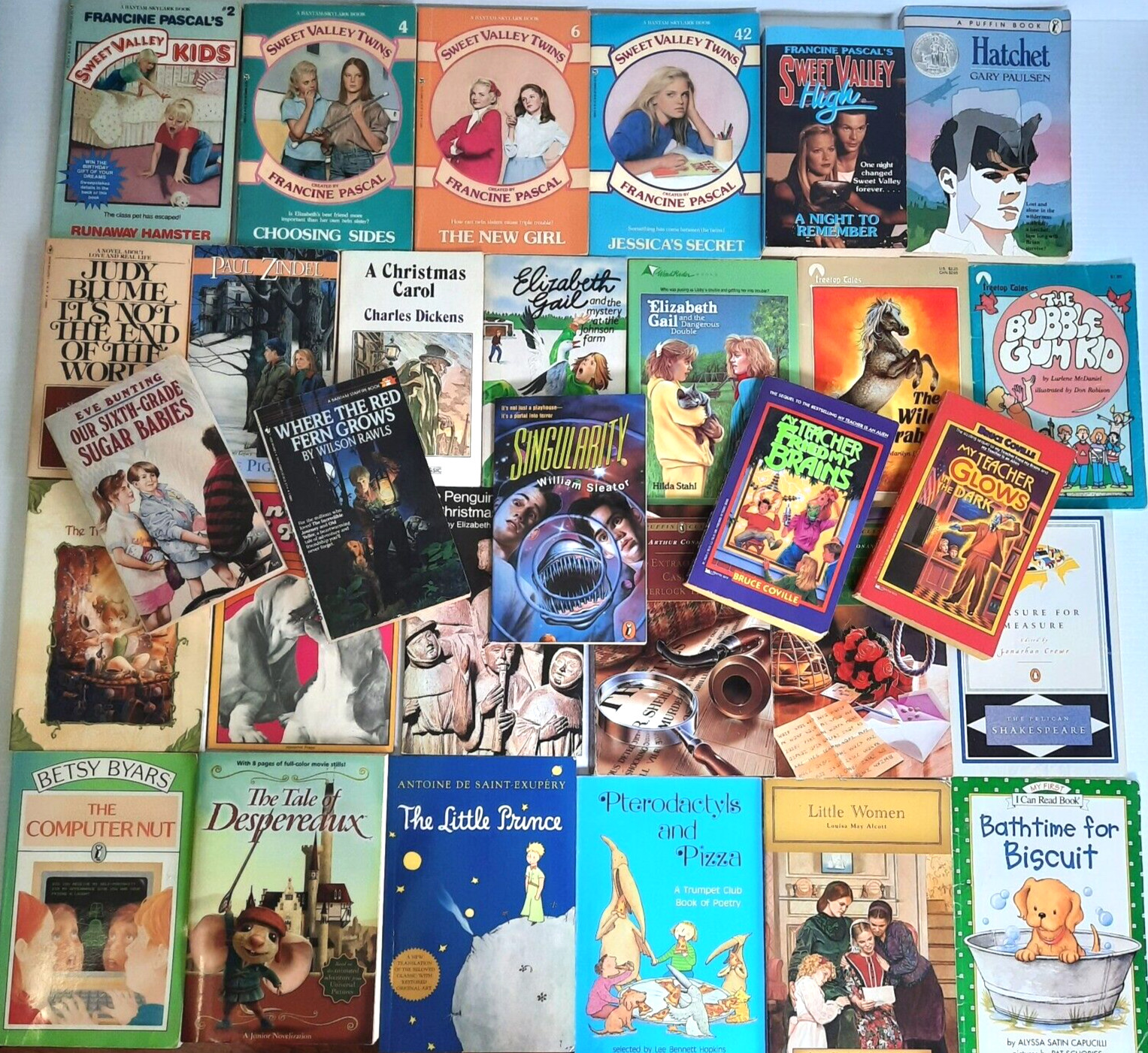 Children&rsquo;s Paperbacks Huge Lot of 46 Mostly 1980s Sweet Valley Little Bear