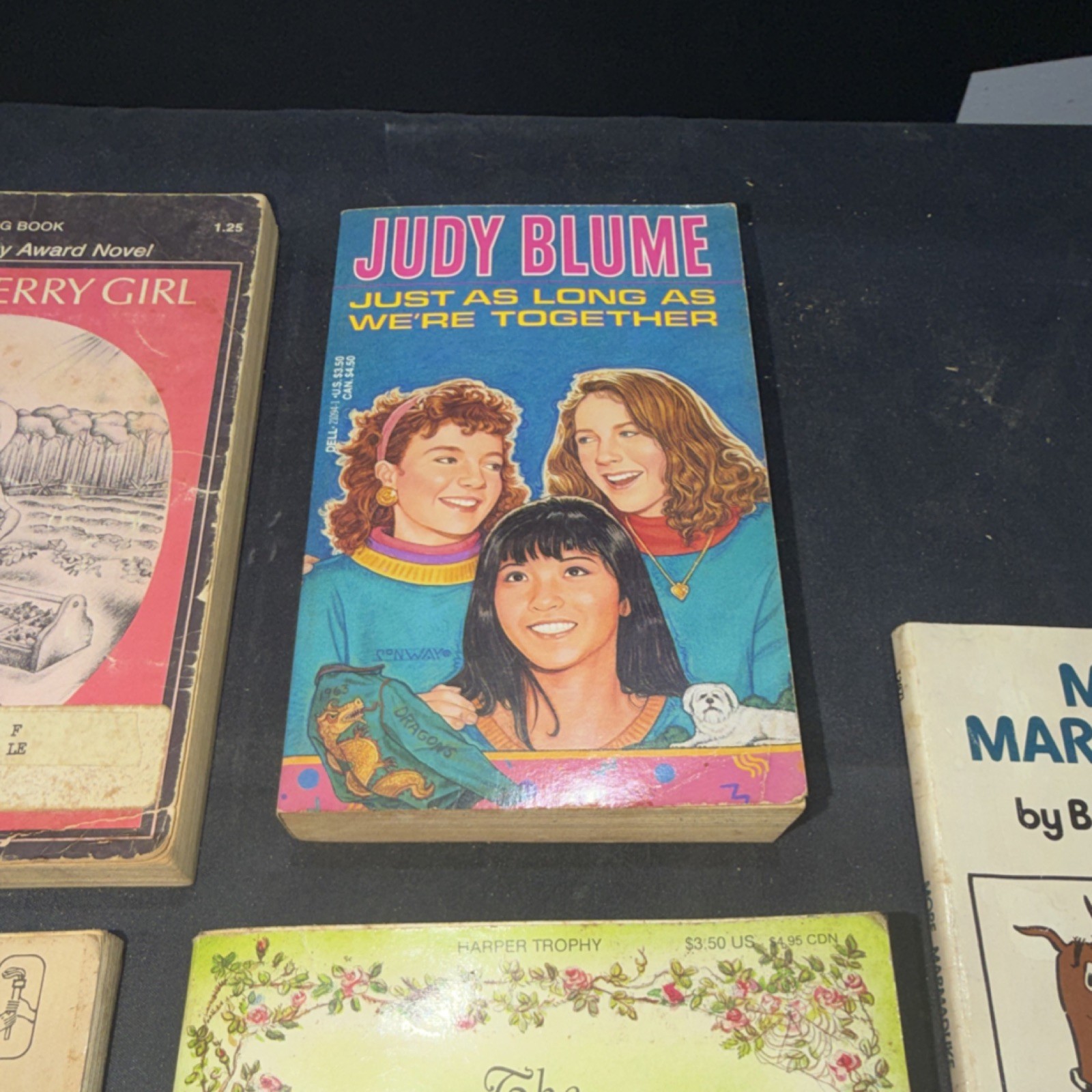 Vintage Children&rsquo;s Fiction Paperback Lot – Lenski, Blume, White, Burnett, 5 Boo…
