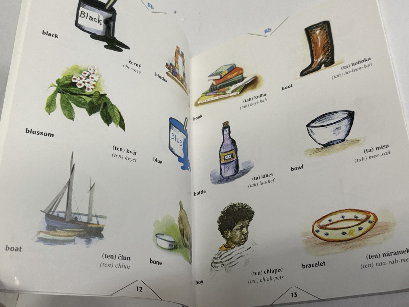 Czech Children&rsquo;s Illustrated Dictionary Paperback