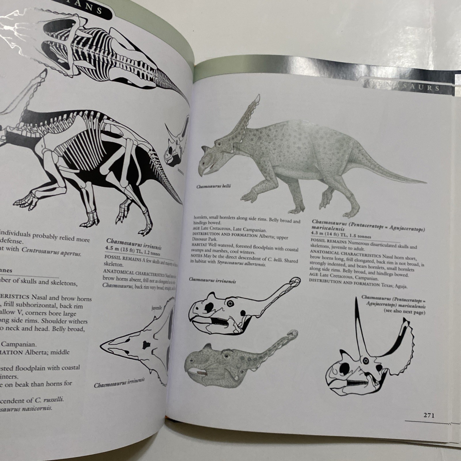 Princeton Field Guide to Dinosaurs Gregory S Paul 2010 1st Printing HC DJ
