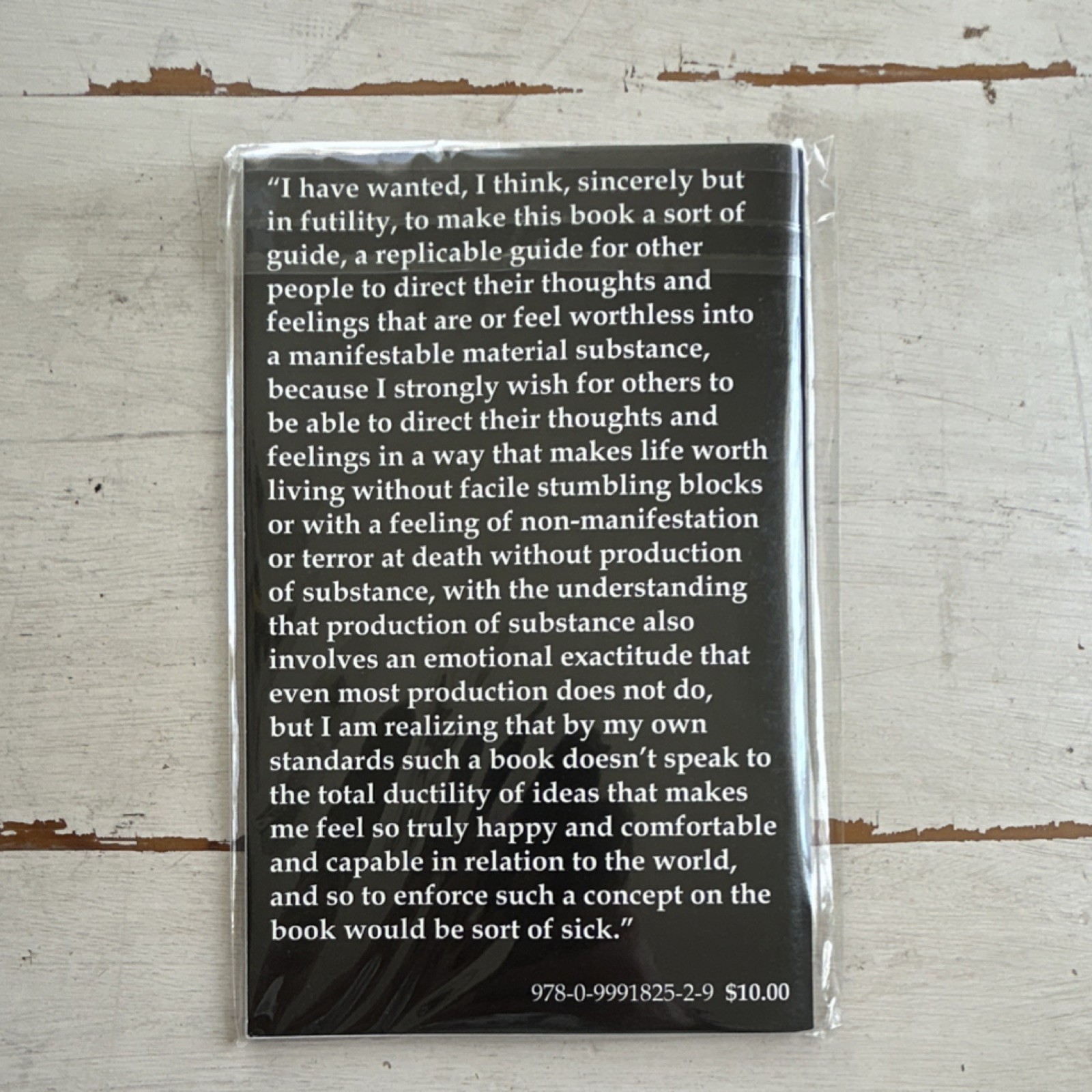 Gabi Losoncy Second Person Amphetamine Sulphate Press Rare Chapbook