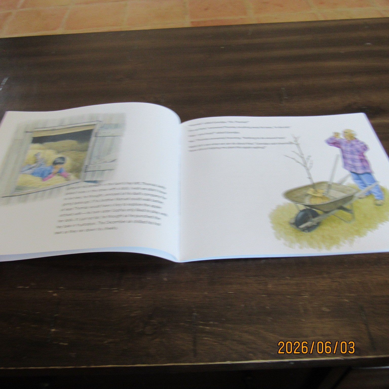 Lot 7-Seasons of Faith-CBH Ministries-Children&rsquo;s Bible Hour PB Books-CDs-2010&rsquo;s