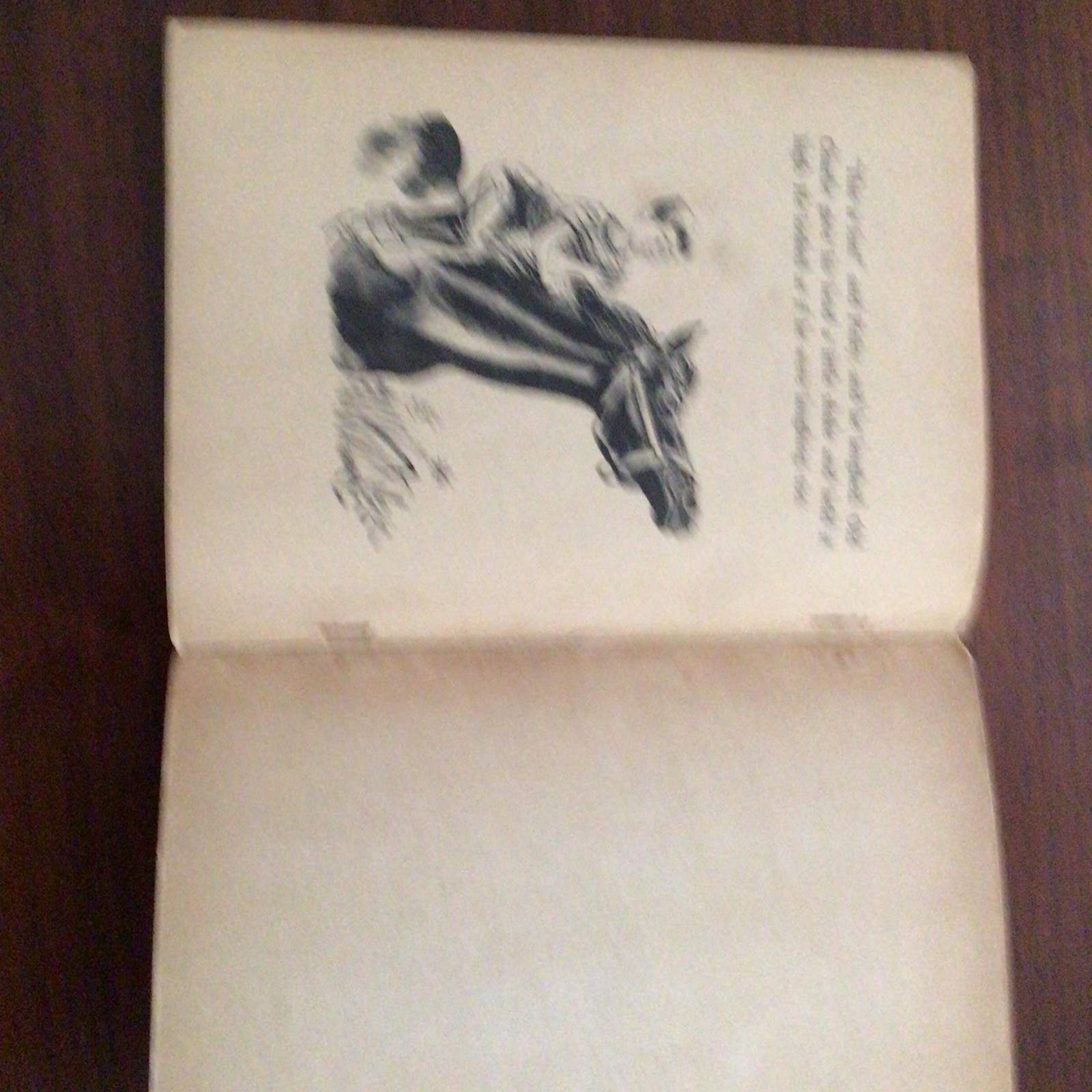 Old Charlie Vintage Paperback Clyde Robert Bulla Paul Galdone Childrens Horses