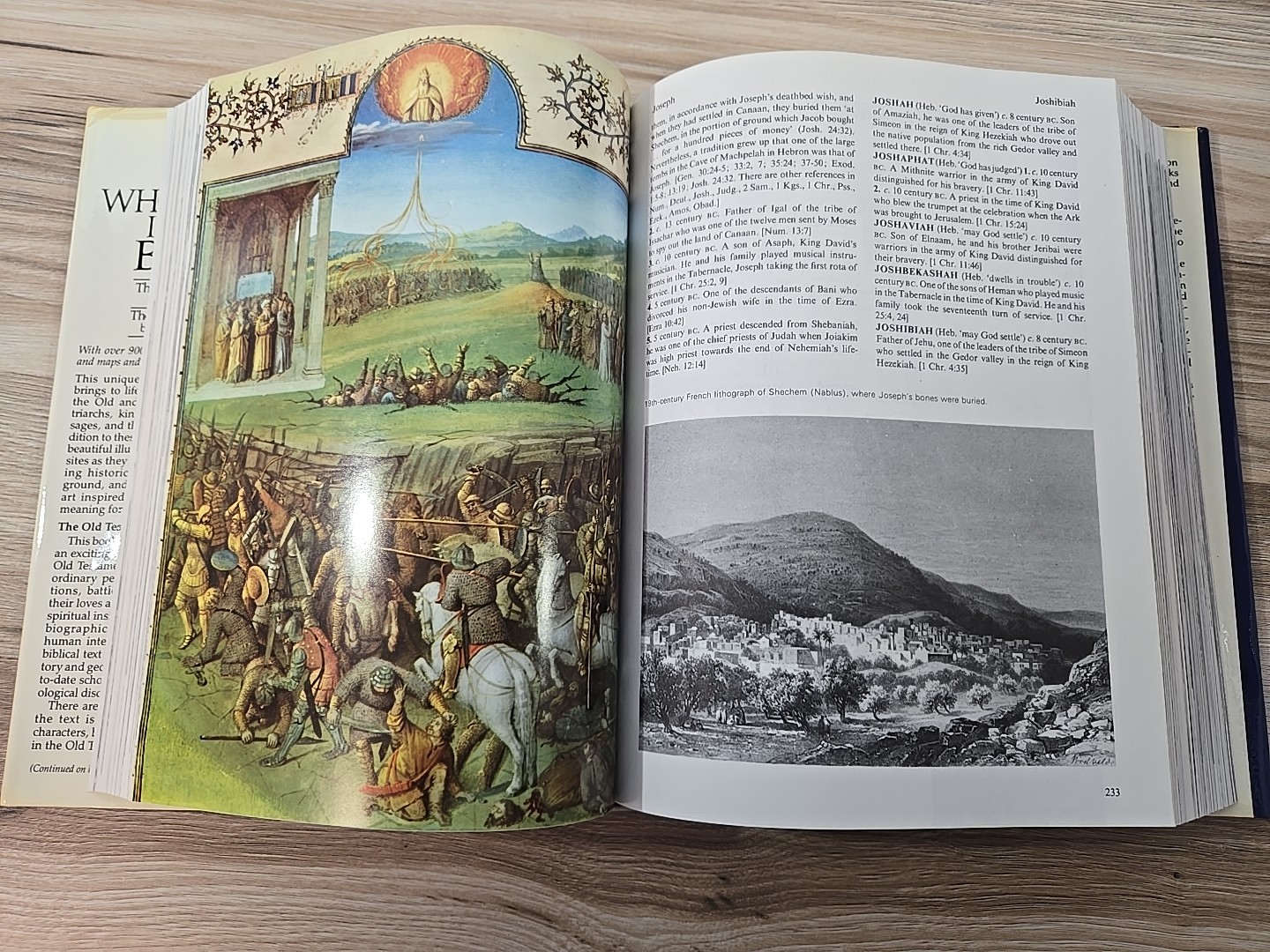 WHO&rsquo;S WHO IN THE BIBLE Two vols in One Old And New Testament & Apocrypha HC 1980