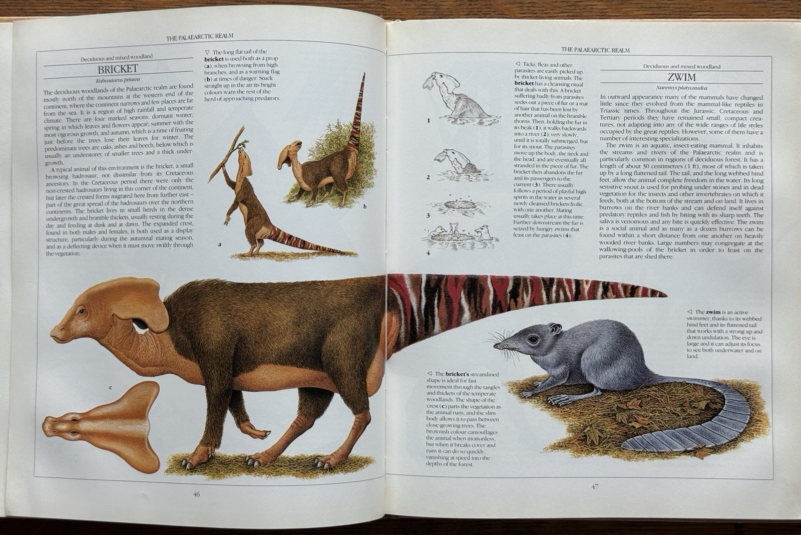 The New Dinosaurs Dougal Dixon 1988 First Edition HC/DJ Speculative Evolution
