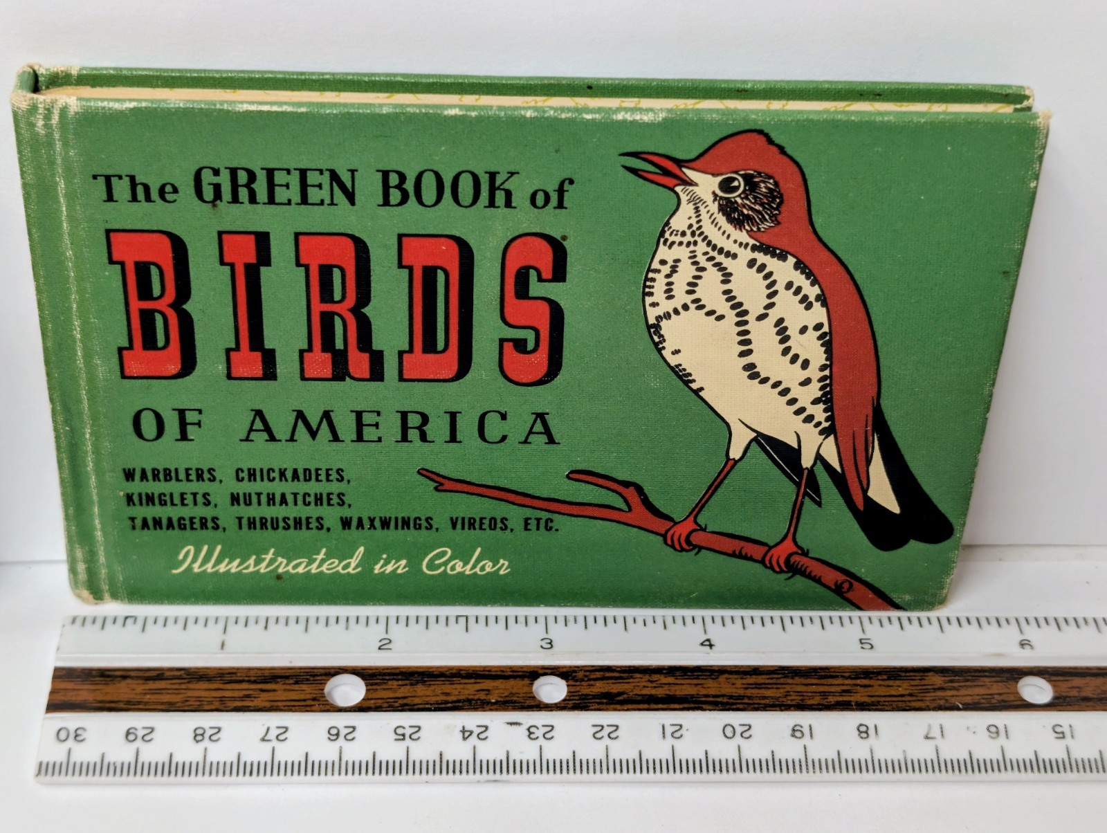 Vintage 1940s Birds of America Blue Green Red Book Set MCM Illustrated HB Set 3