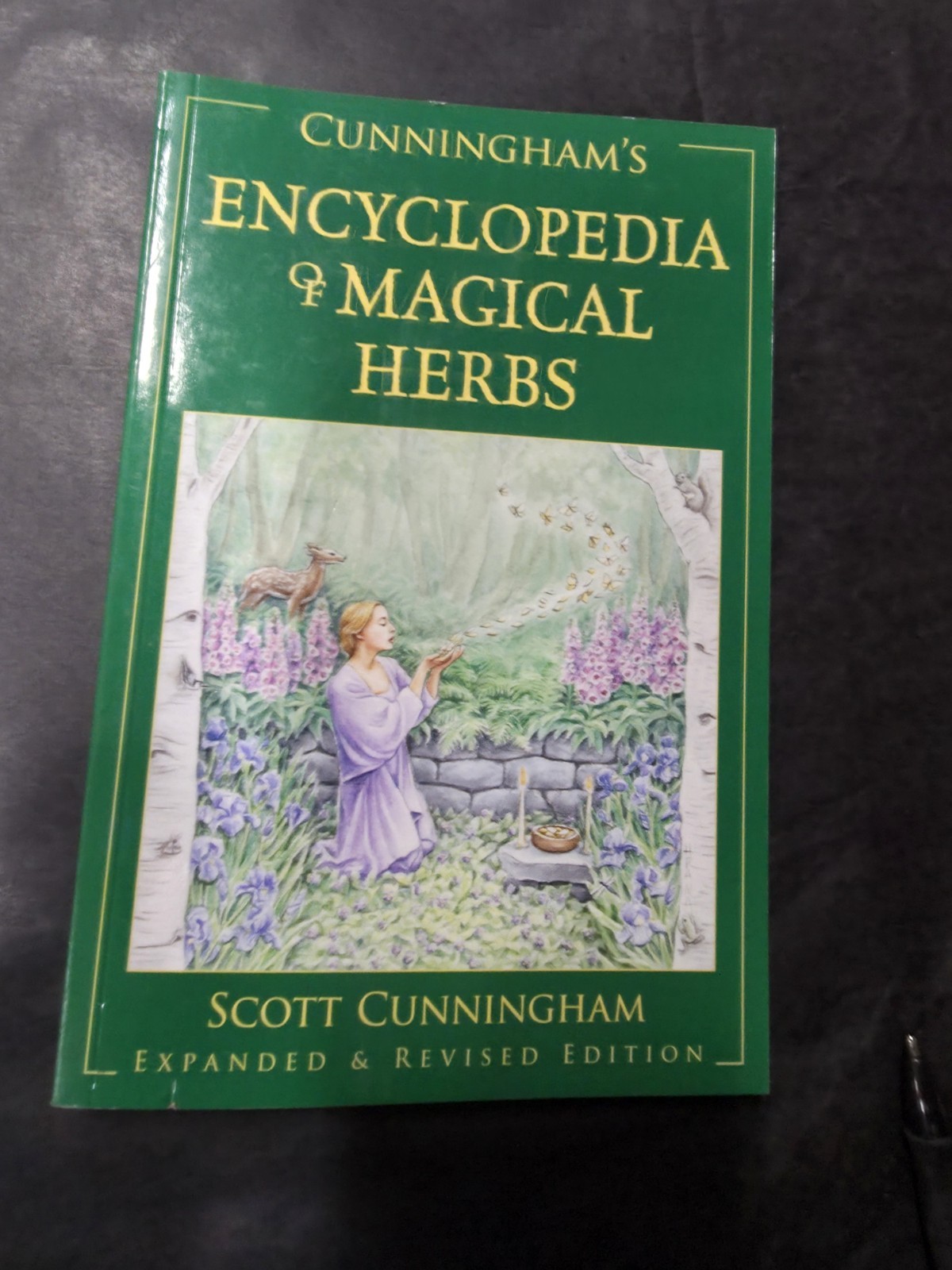 Cunningham&rsquo;s Encyclopedia of Magical Herbs (Llewellyn&rsquo;s Sourcebook Series)