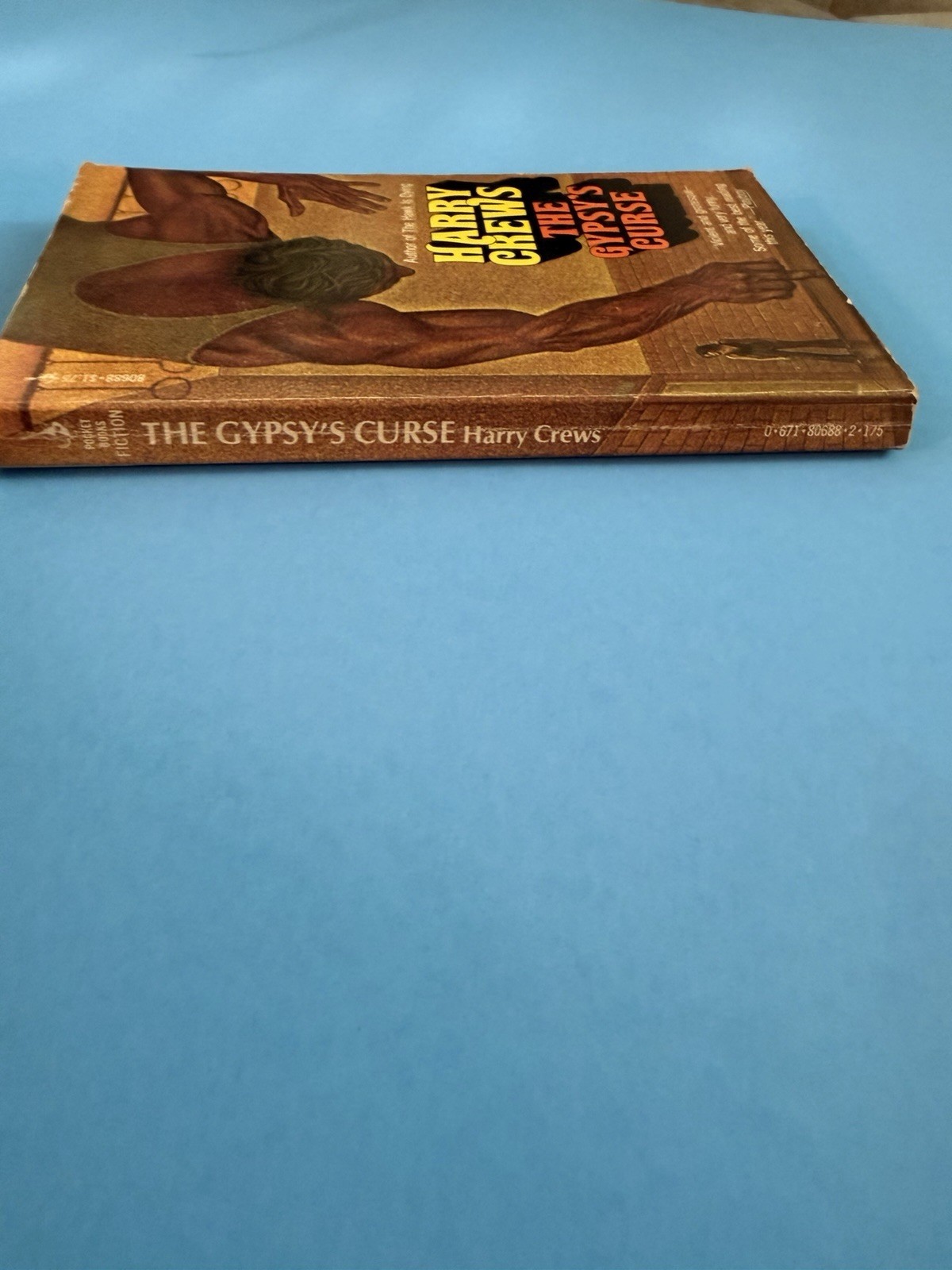 GYPSYS CURSE By Harry Crews 1976 Pocket Books Paperback 1st Printing